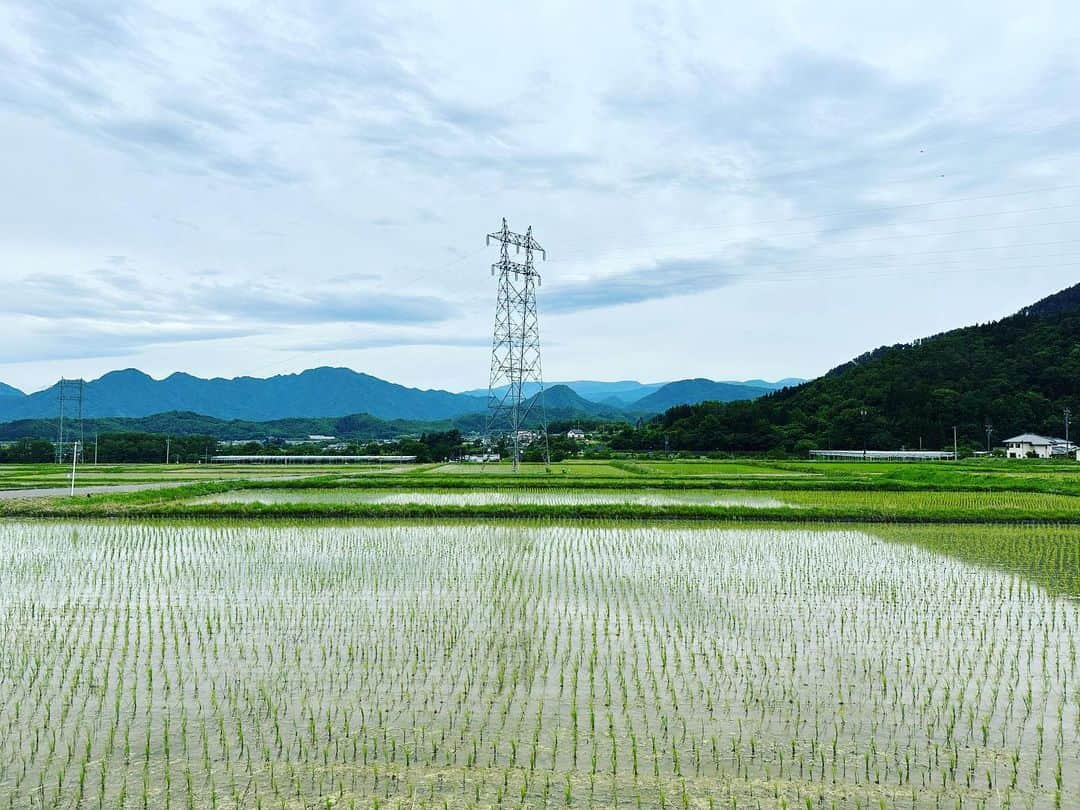 藤田貴大のインスタグラム：「. . 足もとばかりを見つめて、田園を行く。鏡面になっていることに気がついて覗きこむと、おびただしいオタマジャクシ。じぶんの記憶ではない記憶を、追いながら。 . . . .」