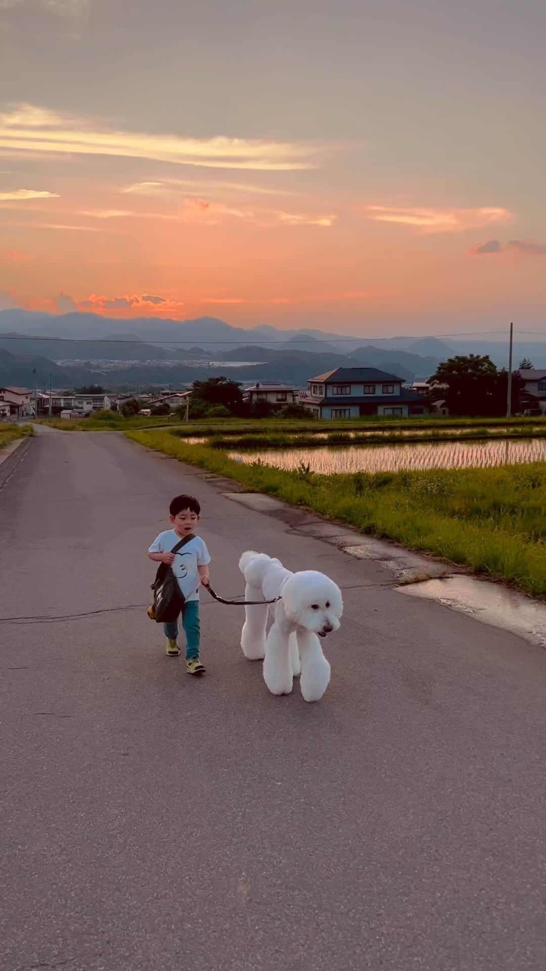 たまねぎのインスタグラム