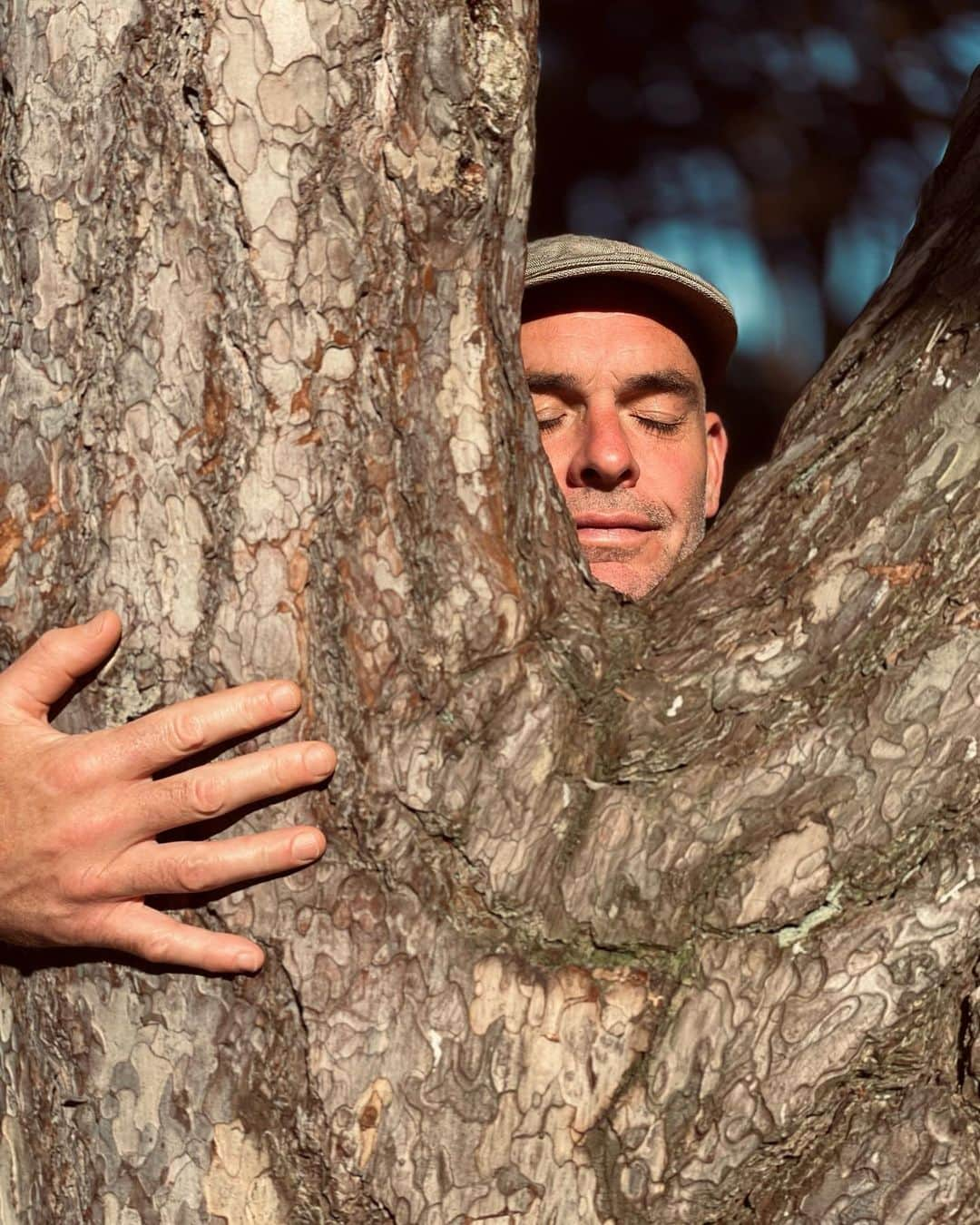 ポール・ブラックソーンのインスタグラム：「If in doubt, hug a tree. I hope you’re all enjoying the summer (for those of you in the north)!」