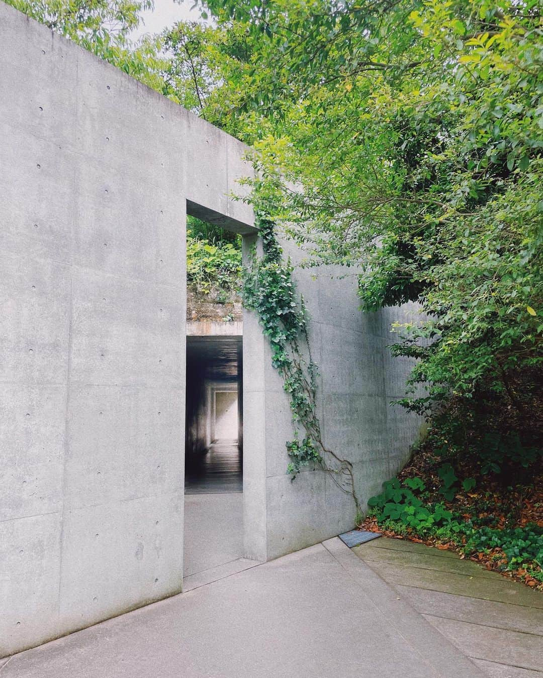 宮司愛海さんのインスタグラム写真 - (宮司愛海Instagram)「【直島・豊島旅行記②】 地中美術館は、やっぱりモネの睡蓮。 展示室に足を踏み入れ視界が開けた瞬間、思わず感嘆の声が漏れた。床の、白い大理石のタイルの感触は足の裏から伝わってくらいやさしく贅沢で、思わずほおずりしたくなるほど。 5点のモネの作品が飾られた真っ白な部屋に冷たさは無く、自然光に包まれたモネの作品たちがやわらかく語りかけてくるようでした。 たった3人のアーティストのために安藤忠雄さんが設計した建物も素晴らしかったなあ...。 地中美術館というその名の通り、建物の大半が地中にあり、山や自然と馴染む外観になっています。館内は写真撮影が禁止なので、建築学生と思われる方々が建物の内部をデッサンしてらっしゃったのもよかったです。  地中美術館からの帰りは、モネの作品を彷彿とさせる「地中の庭」が余韻に浸らせてくれて最後まで夢見心地だったのでした。  あとは大竹伸朗さんの銭湯「I♡湯」 裸でアートに触れるのが不思議な感覚でした。ほかに誰もいなかったので、一人でお湯をいただきました♨️  #地中美術館 #大竹伸朗 #直島旅行記」6月13日 21時22分 - manami_miyaji