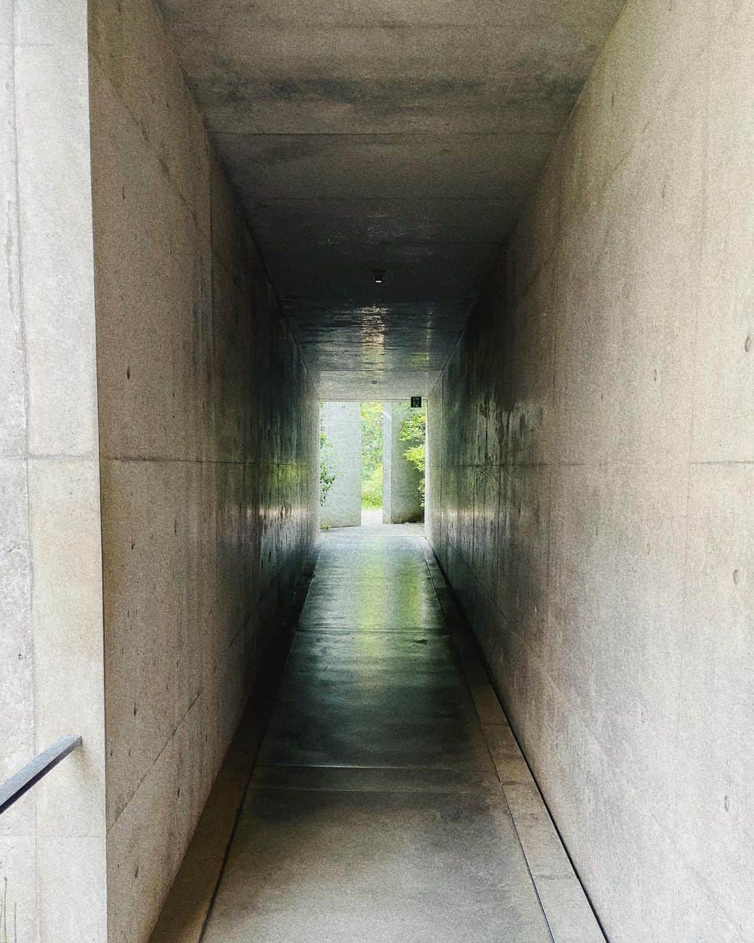 宮司愛海さんのインスタグラム写真 - (宮司愛海Instagram)「【直島・豊島旅行記②】 地中美術館は、やっぱりモネの睡蓮。 展示室に足を踏み入れ視界が開けた瞬間、思わず感嘆の声が漏れた。床の、白い大理石のタイルの感触は足の裏から伝わってくらいやさしく贅沢で、思わずほおずりしたくなるほど。 5点のモネの作品が飾られた真っ白な部屋に冷たさは無く、自然光に包まれたモネの作品たちがやわらかく語りかけてくるようでした。 たった3人のアーティストのために安藤忠雄さんが設計した建物も素晴らしかったなあ...。 地中美術館というその名の通り、建物の大半が地中にあり、山や自然と馴染む外観になっています。館内は写真撮影が禁止なので、建築学生と思われる方々が建物の内部をデッサンしてらっしゃったのもよかったです。  地中美術館からの帰りは、モネの作品を彷彿とさせる「地中の庭」が余韻に浸らせてくれて最後まで夢見心地だったのでした。  あとは大竹伸朗さんの銭湯「I♡湯」 裸でアートに触れるのが不思議な感覚でした。ほかに誰もいなかったので、一人でお湯をいただきました♨️  #地中美術館 #大竹伸朗 #直島旅行記」6月13日 21時22分 - manami_miyaji