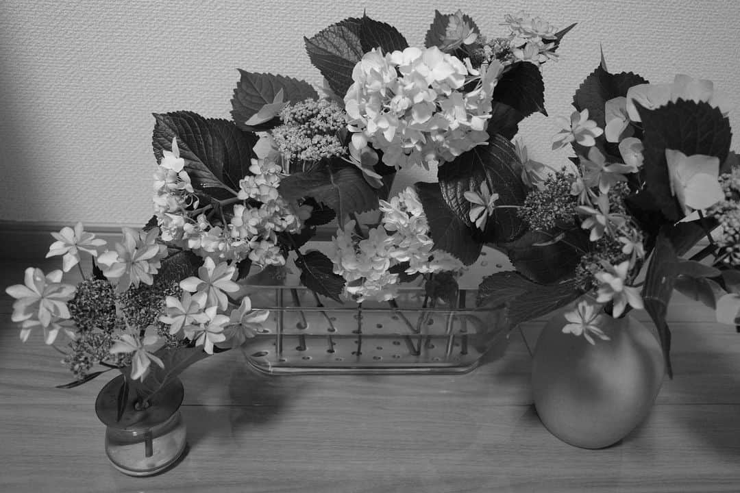 新郷桃子さんのインスタグラム写真 - (新郷桃子Instagram)「××× . 👵が家に咲いてた 紫陽花をくれたので家に持ち帰ったらとっても華やかに…🌸♡ 可愛すぎる〜毎日水切りして大切に育ててる🫶 後、この前おばあちゃんと福岡で行ったらんちも！美味しすぎたなあ〜🍛🦐」6月13日 21時23分 - rinnnnn01