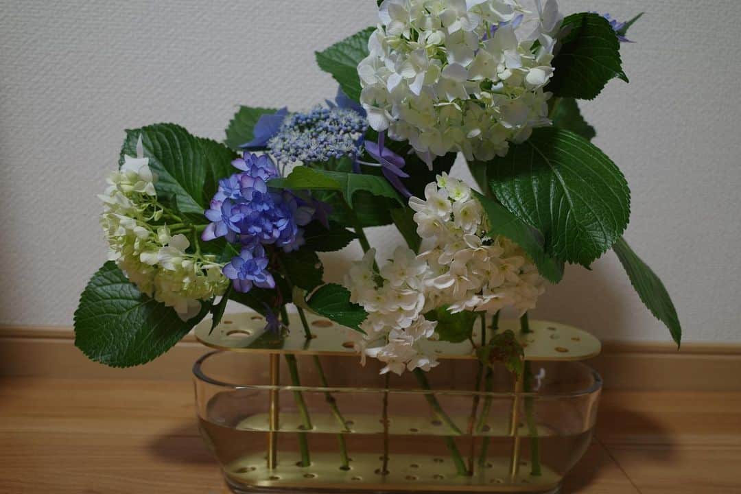 新郷桃子さんのインスタグラム写真 - (新郷桃子Instagram)「××× . 👵が家に咲いてた 紫陽花をくれたので家に持ち帰ったらとっても華やかに…🌸♡ 可愛すぎる〜毎日水切りして大切に育ててる🫶 後、この前おばあちゃんと福岡で行ったらんちも！美味しすぎたなあ〜🍛🦐」6月13日 21時23分 - rinnnnn01