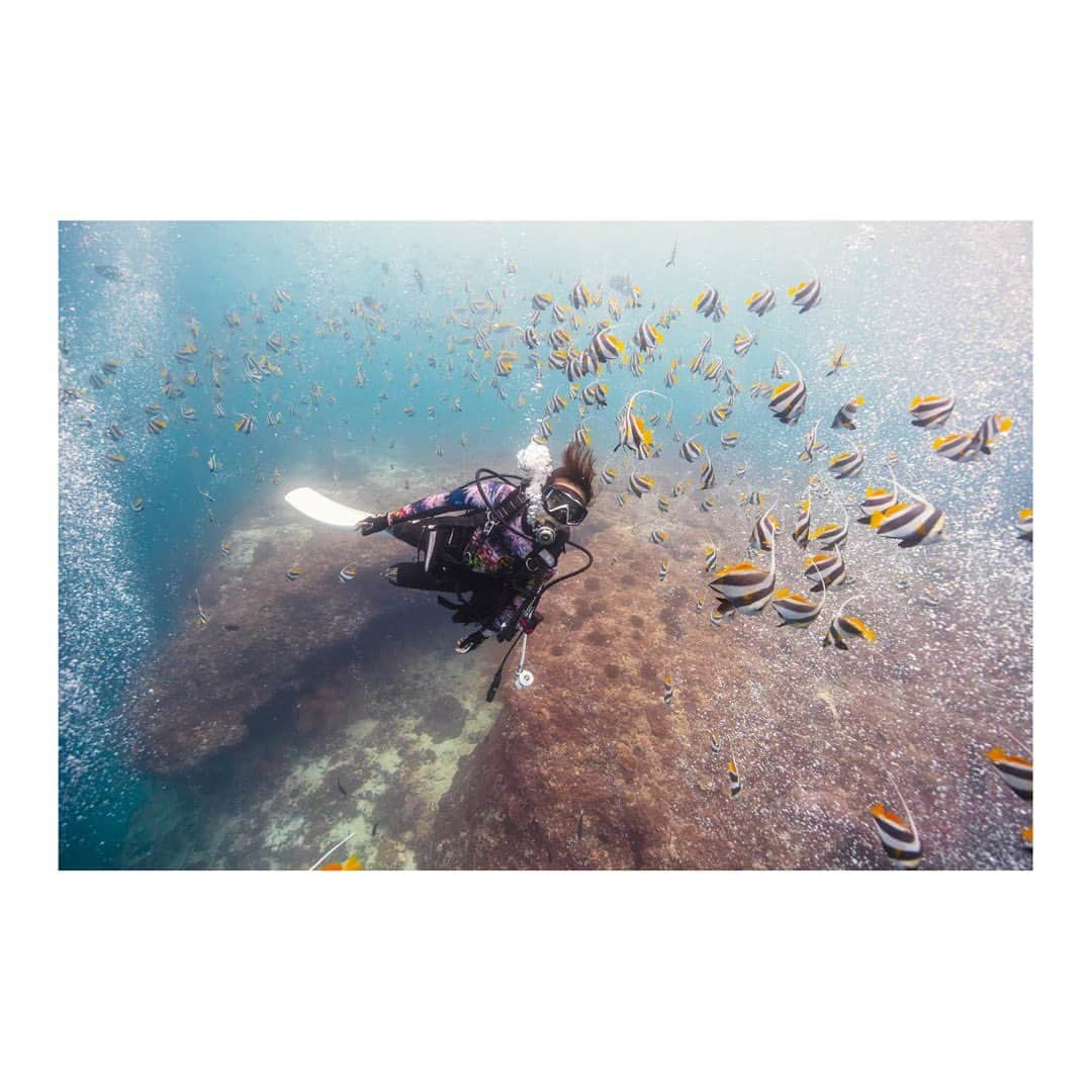 木村文乃のインスタグラム：「*** エアのシャワーで幻想的🫧  私の前髪も高ぶってます。笑  #Maldives #モルディブ #maldivianstars  #モルディビアンスターズ #カオリータ (@kaorita_maldives )さん」