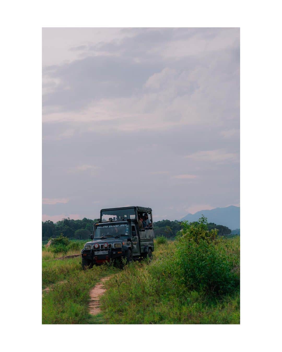 Putri Anindyaさんのインスタグラム写真 - (Putri AnindyaInstagram)「Sights from Gal Oya National Park, Sri Lanka //  Some unforgettable frames that I forgot to share. I kept thinking how lucky I was to visit this country. And I just remember that I still have so many pictures from @destination_srilanka . So I will share some of it these days. Hope you gonna like it as much as I do :)」6月13日 21時56分 - puanindya