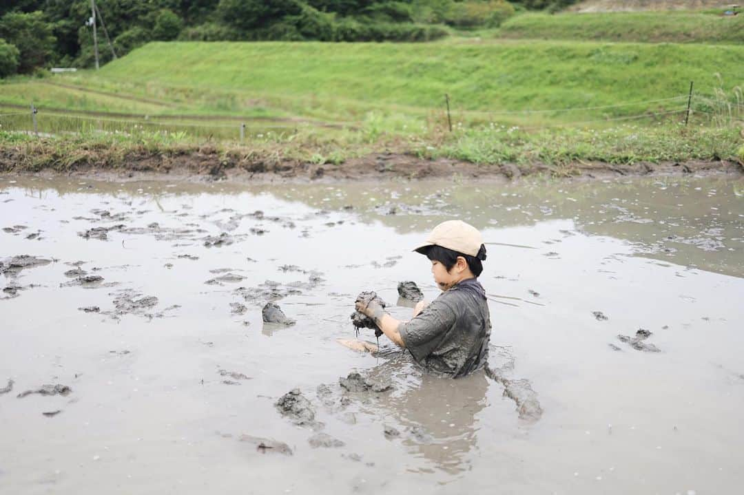 きなこさんのインスタグラム写真 - (きなこInstagram)「今年も田植えに参加させてもらいました🌾 細かく柔らかい粘土のような泥を歩く感触は不思議な気持ちよさ♩ 息子は去年と同じく早々に泥と一体化。カエルの気分を味わってたらしい🐸 夫は子どもたちの泥合戦の的に。私も泥まみれ息子に抱き付かれ続け、みんなでどろんこ。  こんなに泥にまみれて遊べる場所はなかなかないからなぁ。あまりに毎回嬉しそうで、自宅に庭があったらプールじゃなく泥エリアを作ってあげたいと思うほど😂  #田植え #泥遊び #泥んこ遊び #自然遊び #こどもとおでかけ #小学生 #育児 #子育て #こどもと暮らす」6月13日 22時16分 - kinako_710