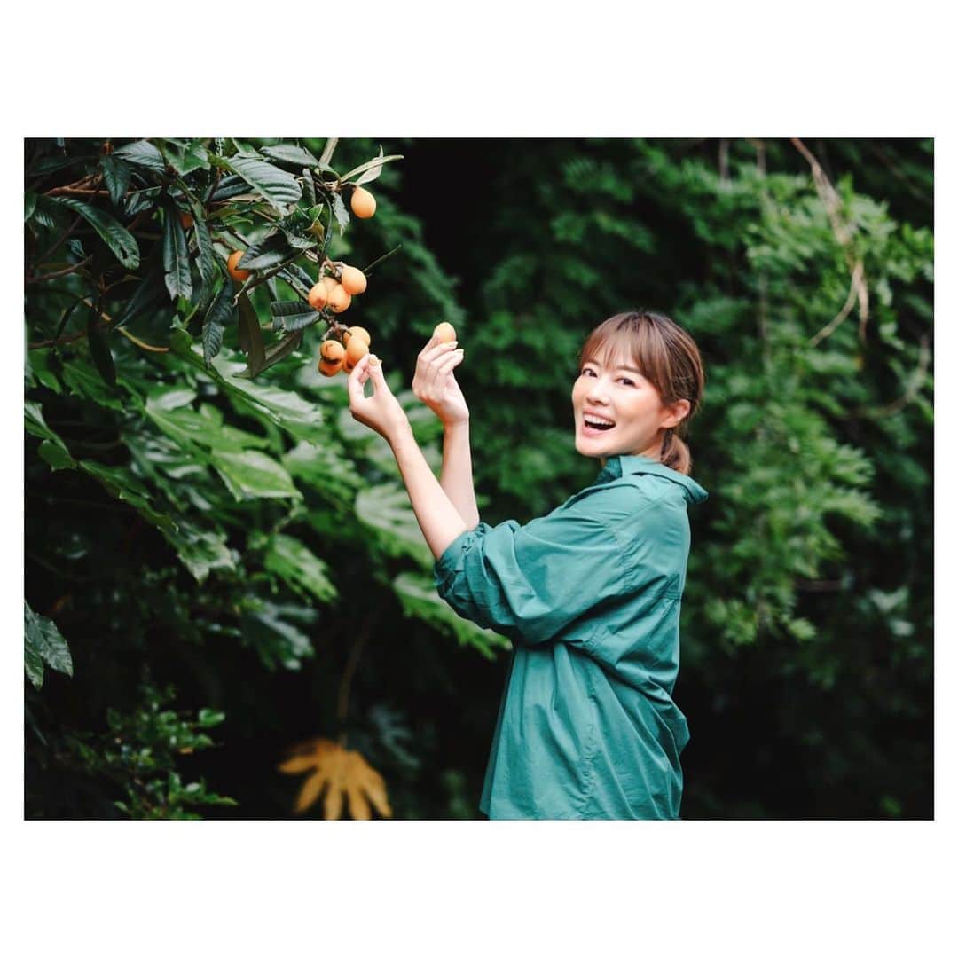 のインスタグラム：「🎗Seasonal fruit ⁡ 旬のフルーツ「びわ」取り放題！？ ⁡ これはご近所さんのお庭にある 大きな大きな「びわ」の木 ⁡ 「全部採っていいよ」 ⁡ ですって (*´꒳`*) ⁡ びわ狩りやってみたかった♪ ⁡ 採れたてはみずみずしくて 皮が手でスルッとむける ⁡ 大きくて甘くて どんな果物よりも美味しいとおもえる ⁡ あぁ… しあわせ✨ ⁡ 木が大きすぎて 上の方は身長193cmの夫でも届かず 全部は採りきるのは無理 ⁡ だけどここまで大きくなるには 何十年もかかっているんだろうな… ⁡ 何もしなくても 毎年こんなに美味しい実をつけてくれるなんて 木ってすごいなぁ ⁡ パワーをたっぷりいただいて ⁡ 感謝 (*´-`*) ⁡ ⁡ ┅┅┅┅┅┅┅┅┅┅┅┅┅┅┅┅┅┅┅┅ ⁡ 🎧神宮前ラジオ @jingumae.fm 「羽舞咲のゆるゆるビューティ研究所」 （毎週水曜日オンエア） ⁡ 🇨🇱「ラテンマインド研究室」 ラテンマインドを通じて当たり前を考え直し、日本人の殻を破るzoomワークショップ ⁡ 📸「五島の景色とあなたを結ぶ撮影会」 ⁡ 心を込めてお届けします♡ ⁡ @herbemi プロフィールリンクをチェック！！ ⁡ ┅┅┅┅┅┅┅┅┅┅┅┅┅┅┅┅┅┅┅┅ ⁡ #サスティナブル #風の時代 #シンプルライフ #ライフシフト #スローライフ #ヘルシーライフ #セルフラブ #ナチュラルライフ #癒し時間 #旅する人生 #サスティナブルライフ #自分らしく生きる #五島列島 #移住したい #びわの木 #しあわせな時間 #多拠点生活 #自然暮らし #地方移住 #五島の大谷翔平 #羽舞咲」
