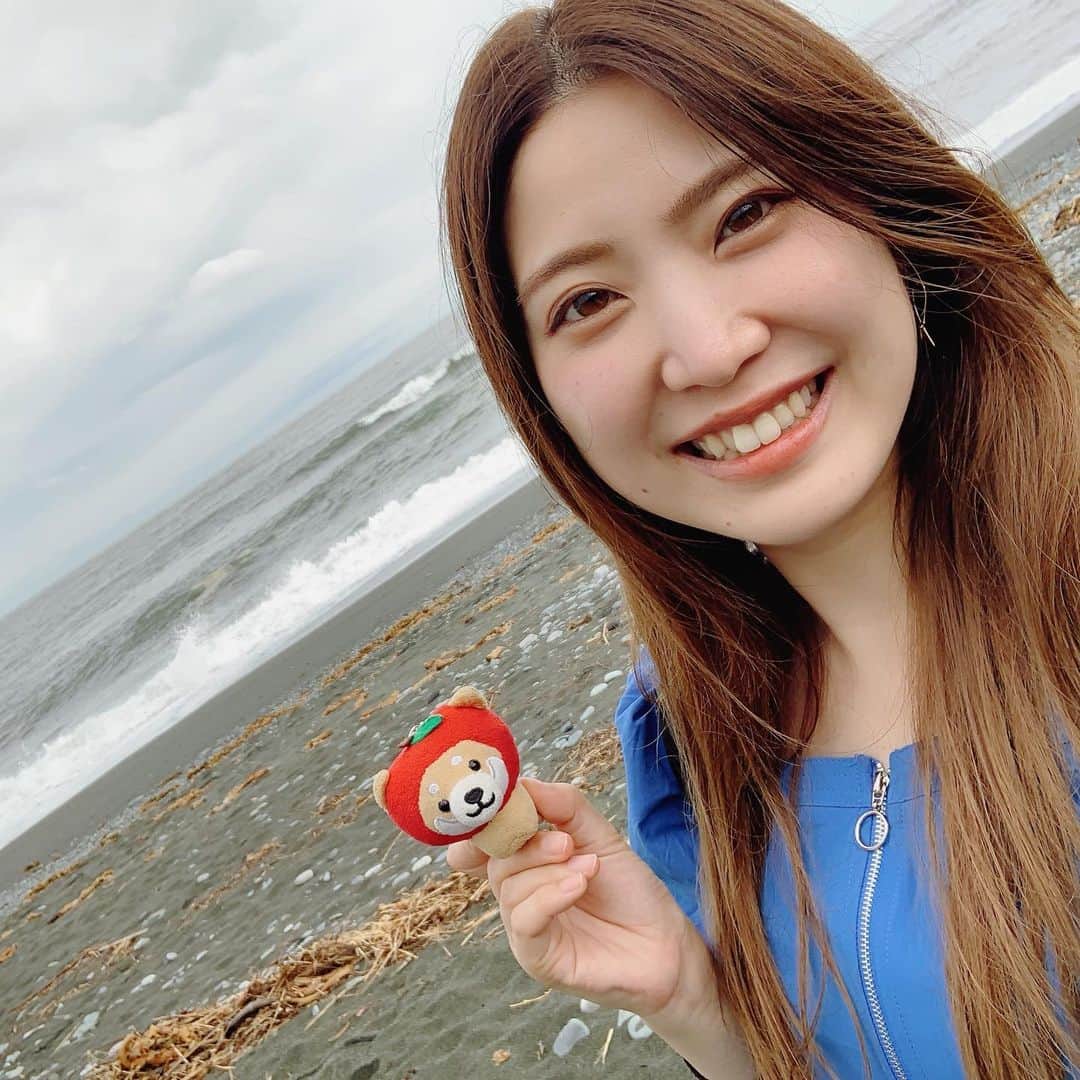 鈴木友里絵のインスタグラム：「🍎🐶♡  りんたろうとね！！！！！ 先週ふらっと小田原旅をしてきたんです☺️🧳  私が今テーマソングを作らせていただいている、(絶賛制作中✒️) りんたろうこと、旅するマメしば(@tabisuru_mameshiba )ちゃん達は、小田原で生まれたんだよーーっ🏯✨  . .  今回は、 この旅するマメしばちゃん達を作っているLamPlanningさんの田村社長ファミリーと、 イドバタナウ📻の王さんとで、  田村社長おすすめ、 Lacco Ameno(@laccoameno_2014 )さんでじっくりお食事会🍽️でした😭❤️  もう本当に本当に！！！！！！ ピッザ🍕がめちゃくちゃに美味しい！！！！！！！！涙✨✨  シェフ👩‍🍳おまかせでお料理を作って頂いたんだけれど、 載せている写真以外にも沢山食べさせていただいて、 本当出てくるもの全部が美味しかったのよ、、、！涙😭✨✨  お野菜やお肉、お魚🐟 使っている食材全部にこだわりを感じて、  「えっっトマト美味しい！！！泣」 「えっっチーズ美味しい！！！！泣」 「えっっっバジル美味し...」 (以下略)  という具合に、一品一品来るたびに全部の素材を褒めちぎりながら食べました❤️☺️  前菜からドルチェまで、本当に全部美味しいのです😭 ぜひ皆様小田原行ったら絶対行ってほしい....😭✨  (大人気なお店なので、もしかしたらご予約して行った方がいいかも...💡)  壁に鈴木友里絵サインも書かせていただいたので、 ぜひ見つけてね😼💚  ラッコ・アメーノさん、 ご馳走様でした😋🍷✨  . . .  じっくりお話も聞きたかったし、 小田原の夜🌙も体験してみたかったので、 日帰りではなく、 せっかくなのでゆっくりと小田原に泊まっていくことに☺️🛏️  田村社長や、ラッコ・アメーノのあめのシェフとも沢山お話しできて、 とっても楽しい時間でした🌃  私は改めてやっぱり、人が好きだなぁと思います。  傷付けちゃったり、嫌な想いをさせちゃいそうで、 時には人を知るのがこわくなっちゃったりもするけれど、  どんな人で、どんな事が好きで、どんなふうに育ってきたか、とか  その人のことを知れば知るほど、 物語があって、ドラマがあって、発見があって、 それがとっても面白くて、人間らしくて、大好きです☺️  そして人の事を知れば知るほど、 自分の事も沢山知ることができる気がします💡  お二人とお話ししていて、 なんだか自分自身とも、ゆっくり対話ができた気がします！  素敵な機会を、本当にありがとうございました☺️✨✨  . . .  翌日は、 午前中結構な雨☔️だったんだけれど、 お散歩しつつ(お散歩大好き🚶‍♀️)漁港の駅TOTOCO小田原(@totocoodawara )へ🐟🌊✨  2階の食堂でご飯を食べたんだけれど、 気合い入りすぎて、私食券番号001番でした🥇✨笑(一番最初のお客さん😆)  アジ定食本当に美味しかったぁぁぁ！！！！！！！！涙😭✨✨  小田原漁港プリンさんで、かっっわいいソフトクリーム🍦もたべた✨  . . .  そして奇跡的に雨も上がったので、御幸の浜にも行きました🏝️  りんたろう🍎大はしゃぎだったので動画を沢山撮っていたのだけれど、 ふと振り返ると、びっくりした顔でこちらを見ている親子👨‍👩‍👧がいらっしゃって、 恥ずかしさは感じつつも、そのまま撮影を続けた自分に、「私もとても心が強くなったなぁ」と成長を感じたものでした☺️。爆笑 (これ全部一人で喋って一人で撮ってるの...笑📷😆)  . . .  そんな感じで、 帰りは小田原の美味しいものたちをお土産に買って、 第一回りんたろう素敵小田原旅を終えたのでした🍎🐶  大好きな場所が増えました。 小田原また行きます‼️☺️  旅するマメしばテーマソングも、がんばります✨ 完成楽しみにしていてね💪❤️  #旅するマメしば #りんたろう #小田原 #小田原グルメ #小田原漁港 #ラッコアメーノ #イタリアン #odawara #laccoameno #御幸の浜 #豆柴 #shibainu #旅」
