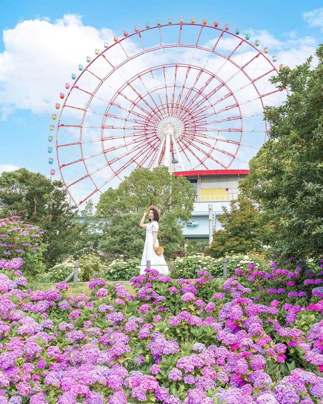 和希優美さんのインスタグラム写真 - (和希優美Instagram)「@kazukiyumi ◀︎ 他の紫陽花はこちら💠 昨年解体されたお台場の観覧車🎡 ⁡ この前近くを通ったら もう跡形もなくて… 少し泣けました🥲 ⁡ やっぱりこの紫陽花とのコラボは 東京の一つの名所だったなと 今年改めて実感しちゃいました💠 ⁡ 生放送のスタジオ前も 白い珍しい形の紫陽花が咲いていて綺麗でした💠 やっぱり花は和みますね ➴⡱.ﾟ･*.  もう少し東京の 紫陽花写真続きます(笑) ⁡  📷：2021.6 ┈┈┈┈┈┈┈┈┈┈┈┈┈┈┈┈┈ 📍 水の広場公園 ⁡ 📮 〒135-0064 東京都江東区青海１丁目５−４ ⁡ 🚃 新交通ゆりかもめ 「青海駅」徒歩1分 ⁡ ⏰  24時間 ⁡ 📞  03-5500-2455 ⁡ ※詳細は公式サイトをご覧ください。 ⁡ ┈┈┈┈┈┈┈┈┈┈┈┈┈┈┈┈┈ ⁡ #hydrangea #紫陽花 #TOKYO #東京 #お台場 #アジサイ #あじさい #japan_waphoto #japantrip #シンボルプロムナード公園 #best_moments_flora #ojo_flowers #wp_flower #top_favourite_shots #rainbow_petals_  #私の花の写真 #はなまっぷ #flower_special_ #team_jp_flower #jalan_travel  #retrip_nippon #rakutentravel #visitjapanjp #ptk_japan #team_jp_  #art_of_japan #japan_of_insta #japan_daytime_view #wonderful_places #広がり同盟」6月13日 22時42分 - kazukiyumi