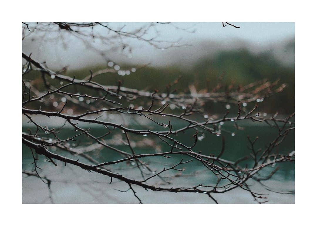 花楓のインスタグラム：「rainy season」