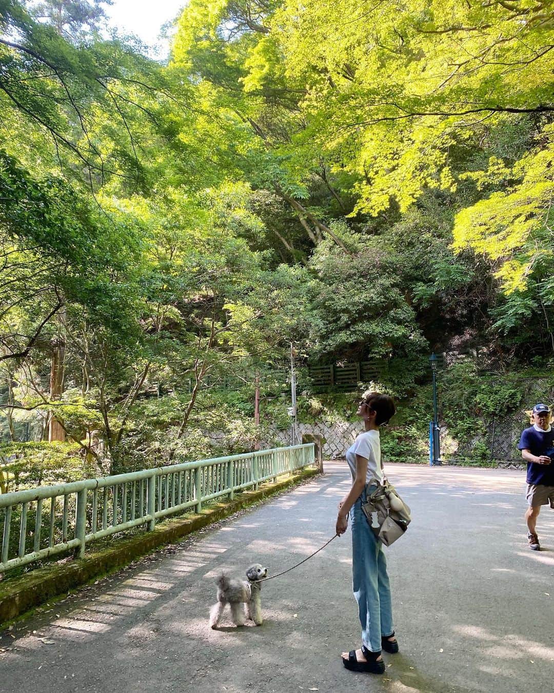 照井和希さんのインスタグラム写真 - (照井和希Instagram)「自然にいっぱい癒された日⛰🌳  最後の一枚は滝見てマイナスイオン感じながら アイス食べる後ろ姿。猫背。シュール😂笑  #箕面の滝 #滝 #勝尾寺 #愛犬とお出かけ」6月14日 2時07分 - kazu24ki
