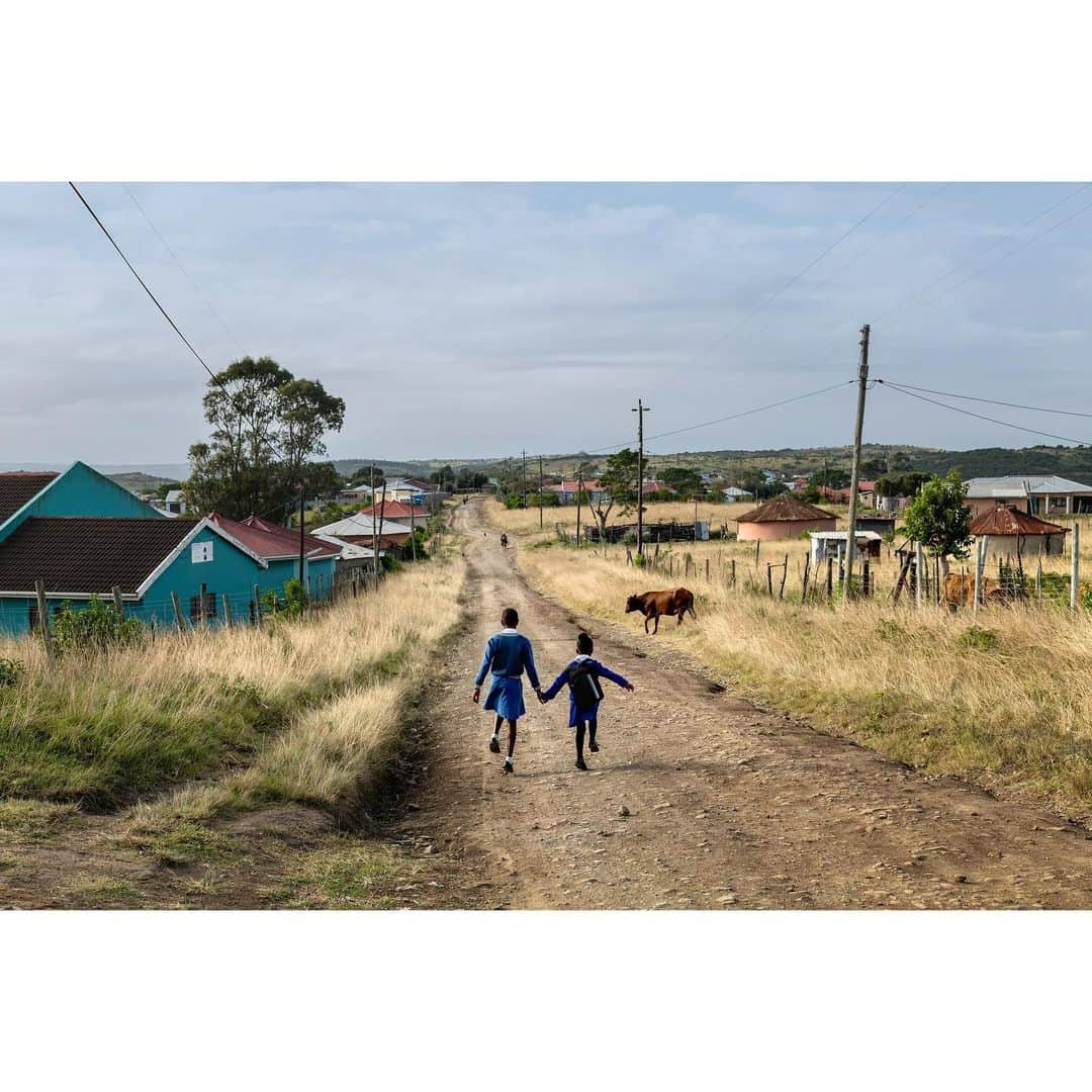 スティーブ・マカリーさんのインスタグラム写真 - (スティーブ・マカリーInstagram)「Young Xhosa girls walk to school. Eastern Cape, South Africa, 2023.」6月14日 2時19分 - stevemccurryofficial