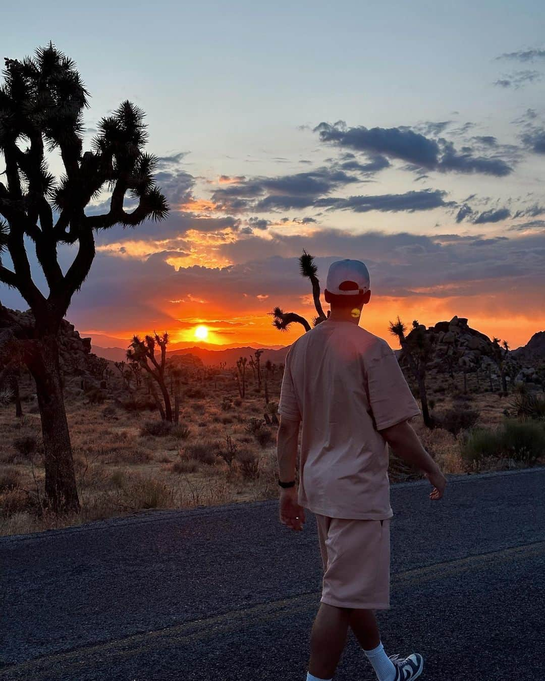 ニコライ・ラップさんのインスタグラム写真 - (ニコライ・ラップInstagram)「⛰️☀️🐍🌵」6月14日 2時12分 - nicolai.rapp