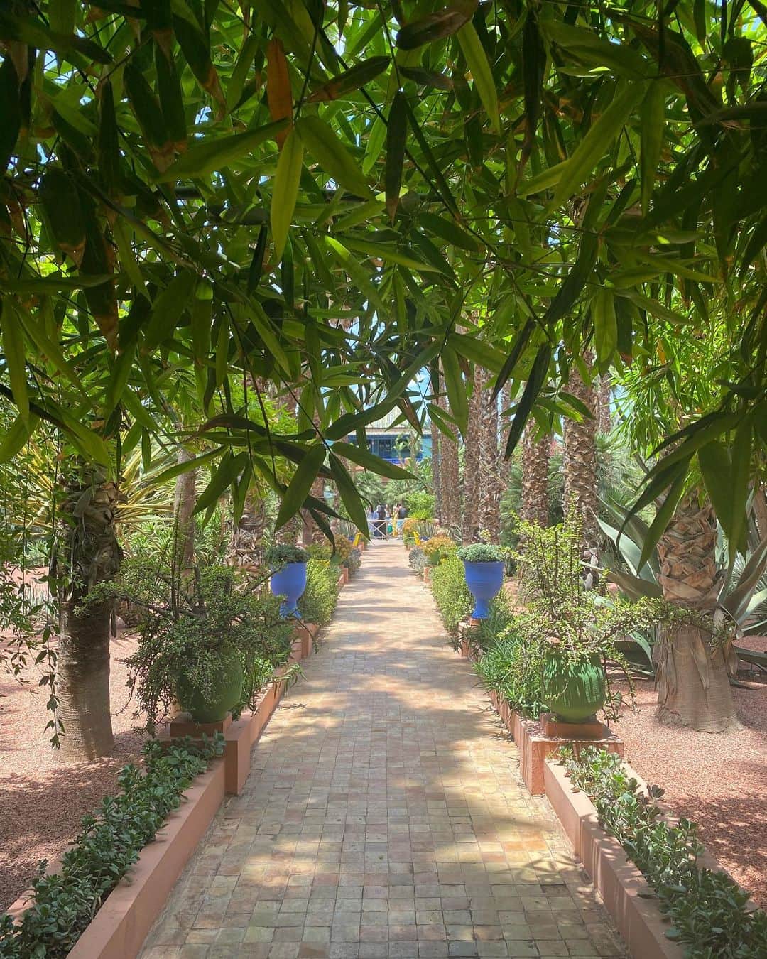 小泉里子さんのインスタグラム写真 - (小泉里子Instagram)「こんなにブルーに 惹かれることない💙  マラケシュの 空気と太陽にマッチして 最高に美しい。  2度目のマジョレーヌ庭園だけど 何度も来てもいい気分になる。  #jardinmajorelle #jardinmajorellemarrakech  #marrakech  💙💙💙」6月14日 4時09分 - satokokoizum1