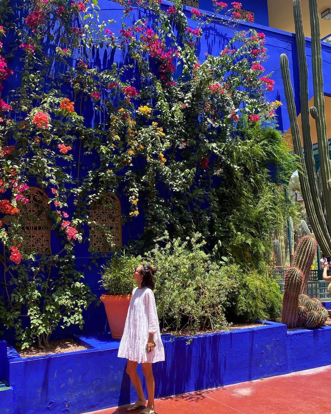 小泉里子のインスタグラム：「こんなにブルーに 惹かれることない💙  マラケシュの 空気と太陽にマッチして 最高に美しい。  2度目のマジョレーヌ庭園だけど 何度も来てもいい気分になる。  #jardinmajorelle #jardinmajorellemarrakech  #marrakech  💙💙💙」