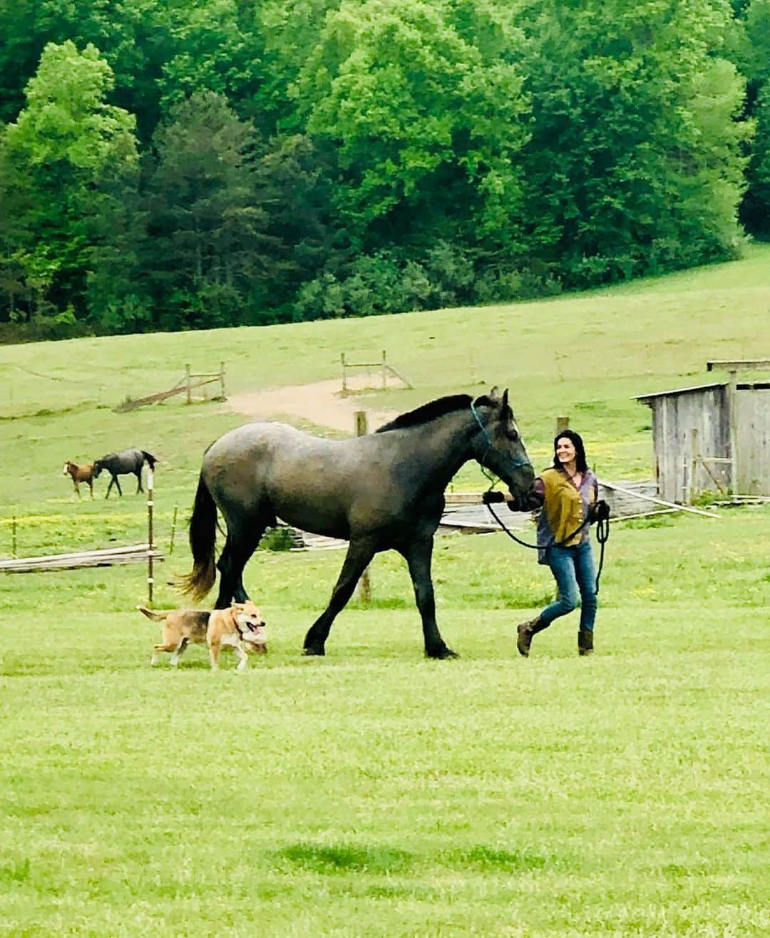 アンジー・ハーモンのインスタグラム：「I like big guys & I cannot lie. ❤️🤠❤️  #blessed #grateful #bigguy #apollo」