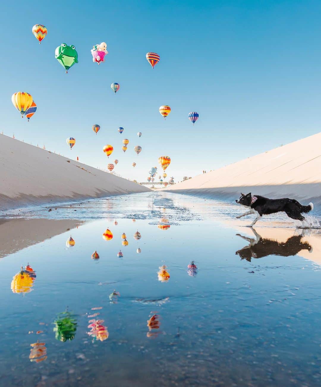 Andrew Knappのインスタグラム：「One of my most requested prints, back in the shop until next week. ❤️   I was stuck in Albuquerque after my tire blew out on a desert road an hour outside of Roswell, New Mexico. We were stranded the same week of the Balloon Fiesta, something I never knew I wanted to experience until it was happening. Never underestimate the potential of a breakdown.」