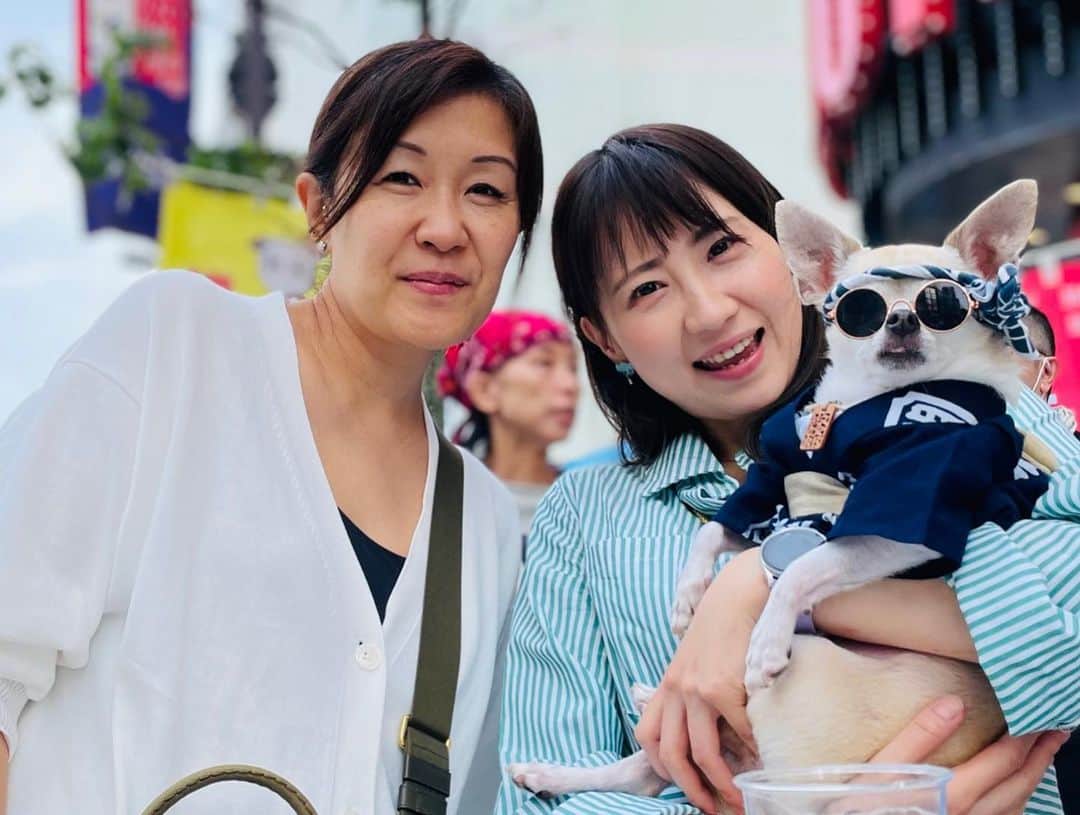 紋次郎さんのインスタグラム写真 - (紋次郎Instagram)「蔵前の駅前の猫カフェ　路地裏の猫　@kuramae_rojiuranoneko  今日は店長さんのお誕生日らしい！ 是非、プレゼントたくさん抱えて遊びに行ってみてくださいね！  三社祭でお会いしたお二人のお一人で、ちびっ子相手にちょいちょいツッコミを入れる時の言葉のチョイスが絶妙で、散々、軽口叩いてきましたが台東区の区議会議員さんでした😅 ちなみに、めちゃくちゃ綺麗な歯の持ち主です😊 4枚目参照🦷  鳥越祭から浅草へ行く途中に寄ってみたけど昼間はやってませんでした😄 1830かららしい… #dog#dogstagram#instadog#chihuahua#barkbox#mydogiscutest#buzzfeed#dog_features#fluffypack#barkpack#dogsofinstagram#犬#チワワ#手作り#handmade#着物#fashion#紋次郎一家#チーム茶#ふわもこ部#igersjp#peco犬部#dogfashion #whisky#蔵前」6月14日 7時03分 - montjiro
