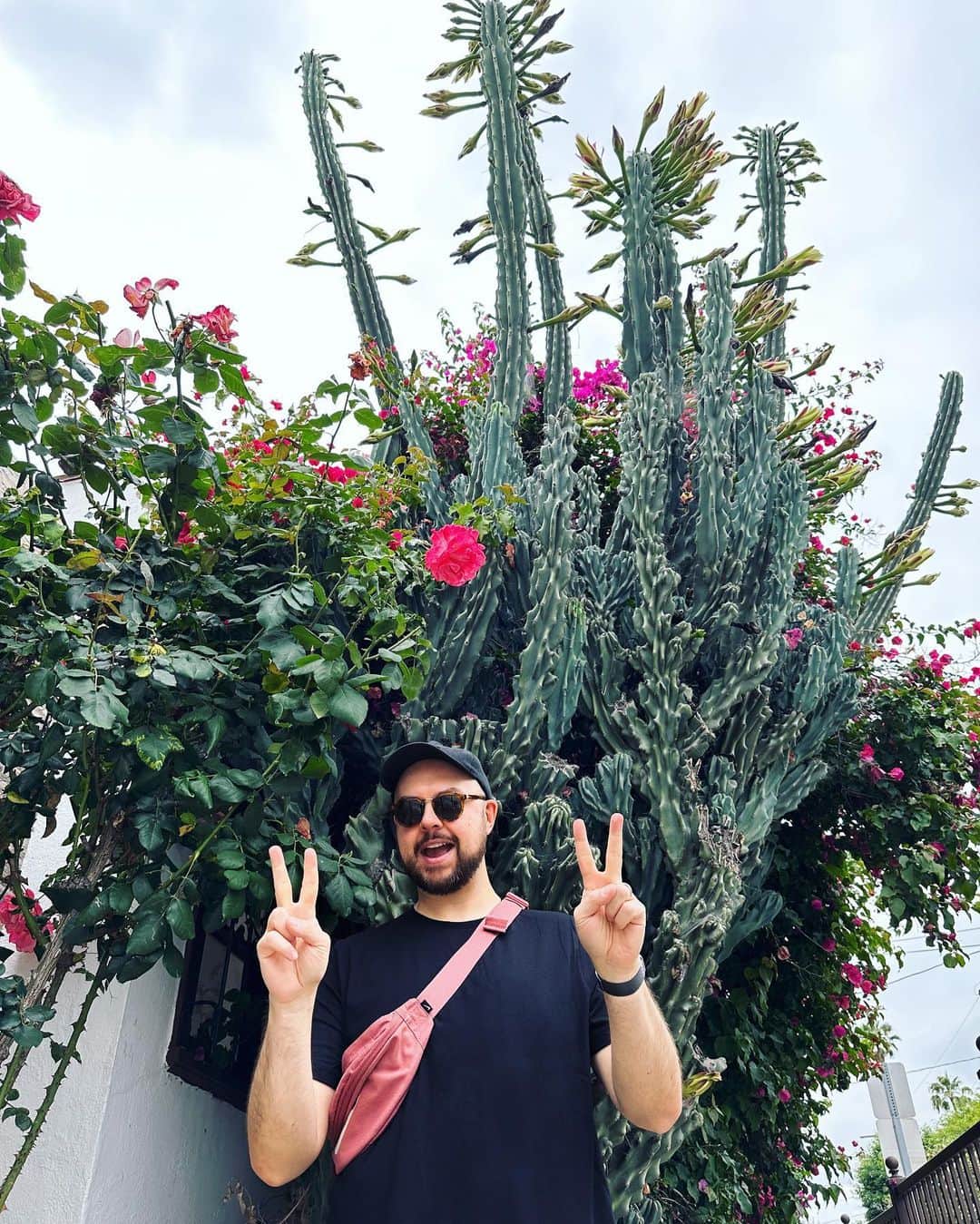 ジ・アストン・シャッフルのインスタグラム：「So psyched with the love that Give it to You has received! Thanks so much to everyone that’s listened to it, messaged about it, added it to a playlist, or given it a spin on the radio or in a club. This year I’ve been more excited to make & release music than I’ve been in a long time so getting this kind of energy back on new tunes means a lot 🙏 Swipe for perfect tree impression.」