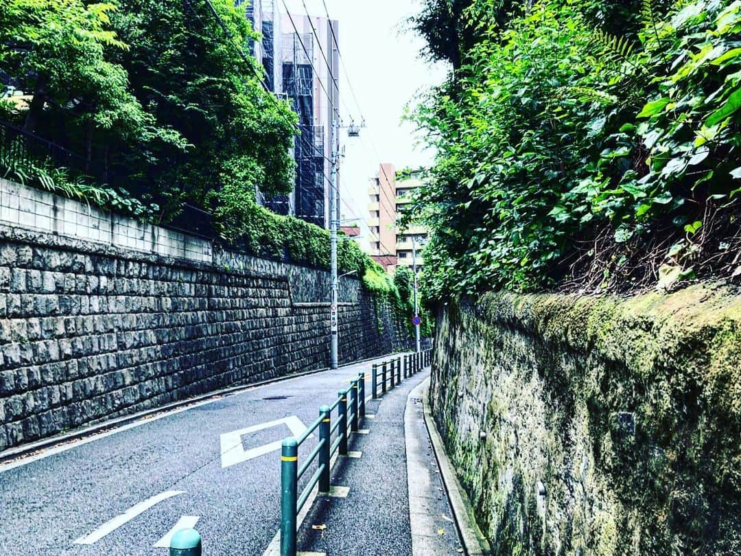宇田川大輔のインスタグラム：「本日の朝ラン #朝ラン #running #城南エリア」