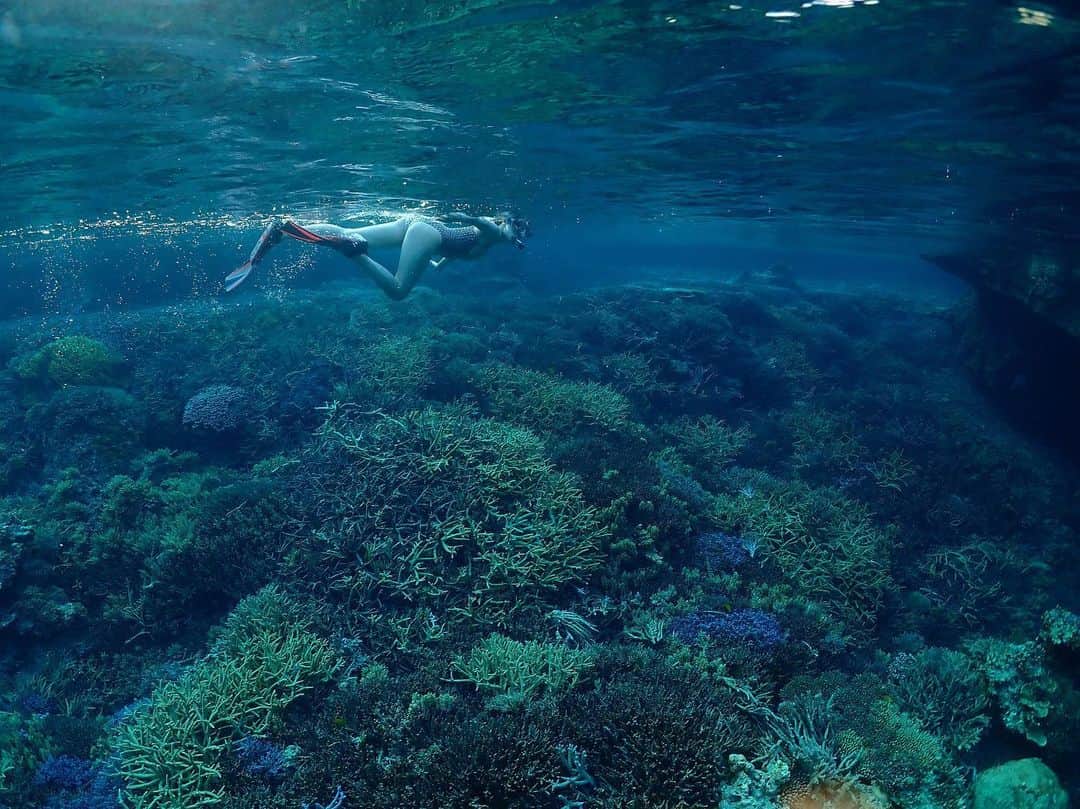 LINAのインスタグラム：「@curlybaby_lilika ちやんと 海のお散歩にでかけました♡ 写真は、宮古島で フォトツアーをしている @harusa0222 さんに 撮影して頂きました！ この海の透明度伝わりますか？ 宮古島の海は 息をのむほどの美しさで...。 どれも素敵な写真ばかりです！ 色鮮やかな魚と珊瑚礁が住む 海の世界は キラキラと輝く宝石のようで 神秘的な景色でした！ どこまでも透き通る海に 心が浄化され みるみる身体が元気になりました！ #MAXLINA #宮古島 #海#フォトツアー #海中散歩 #snorkeling」