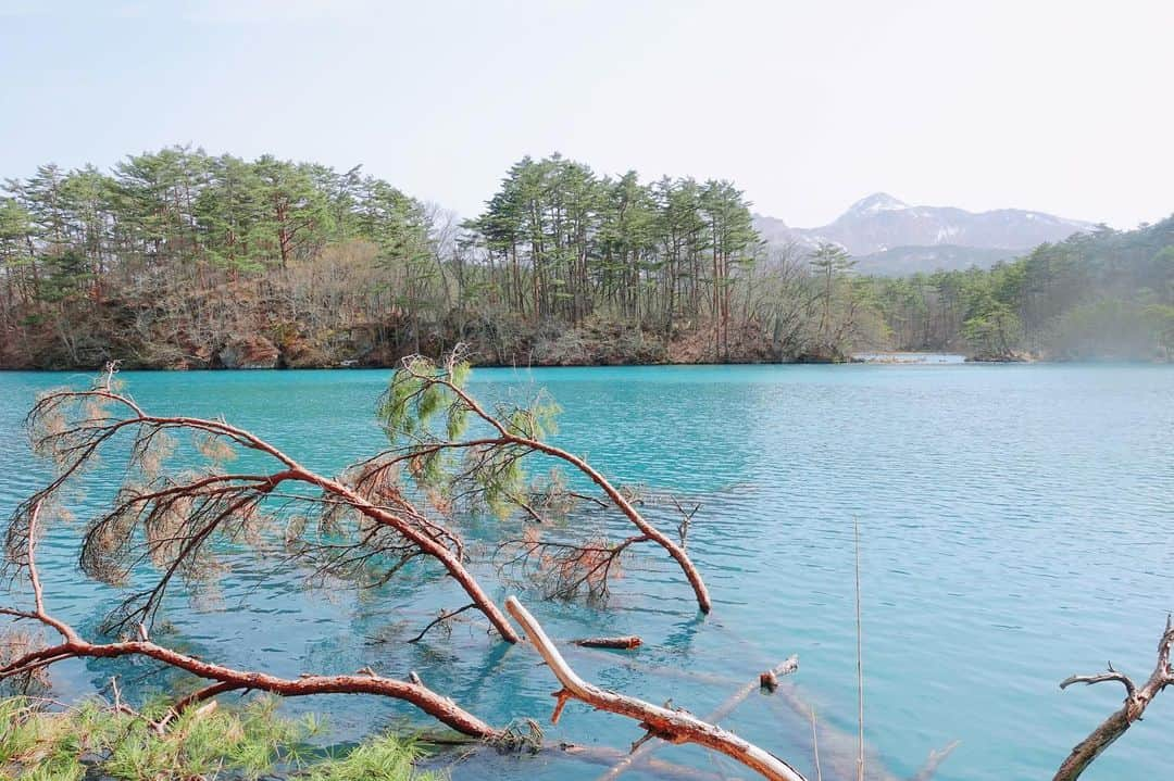 茉莉のインスタグラム：「💙🫶🏔 スワイプしてね🌼 . . 絶景！おすすめスポット📍 福島に行くならここは外せない！😊👍 『五色沼湖沼群』通称:五色沼 . . エメラルドグリーンや コバルトブルーの美しさが輝く、 磐梯山の噴火によってつくられた美しい湖沼。 . . . 角度によって、光の当たり具合によっても 見え方が全然違いました😳✨ まるでパレット🎨みたいな絵の具のように 綺麗だったなぁ〜💛 . . . #磐梯山#ふくしま#五色沼#裏磐梯#日本の絶景#死ぬまでに行きたい日本の絶景 #車中泊#バンライフ#女ひとり旅#一人旅#デリカd5#デリカd5がある生活 #絶景ドライブ」