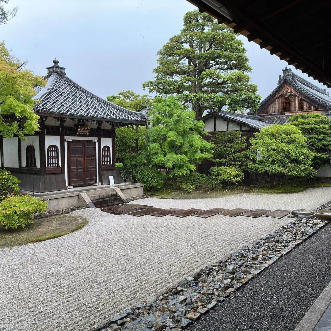 市原佑梨さんのインスタグラム写真 - (市原佑梨Instagram)「KYOTO⛩️✨  お仕事で行った際に久々にちらっと観光らしいことも。 小学生ぶりに行った金閣寺に感動。 子どもの時に見えてた目線と大人になってから見える目線の違いが楽しい！」6月14日 18時50分 - yuri_ichihara