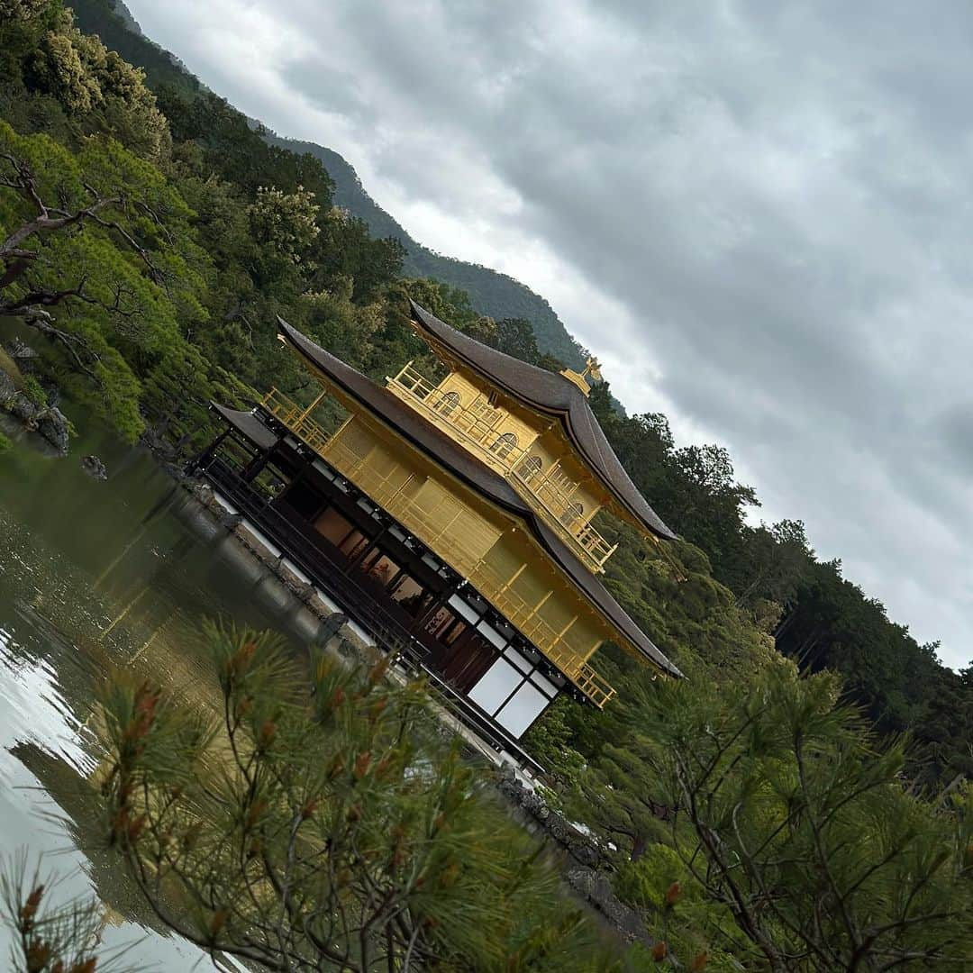 市原佑梨さんのインスタグラム写真 - (市原佑梨Instagram)「KYOTO⛩️✨  お仕事で行った際に久々にちらっと観光らしいことも。 小学生ぶりに行った金閣寺に感動。 子どもの時に見えてた目線と大人になってから見える目線の違いが楽しい！」6月14日 18時50分 - yuri_ichihara