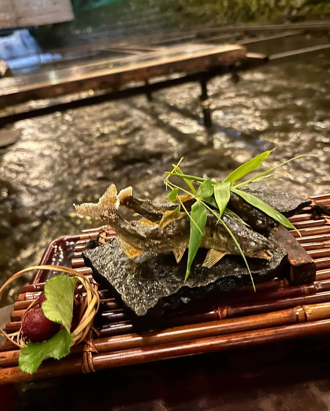 Maya Shiraiのインスタグラム：「川床で食べたお料理は別格😋 鮎美味しかったぁ🥰 自然大好き❤  かなりのボリュームでしたが 楽しくてペロリ😋  #川床 #貴船」