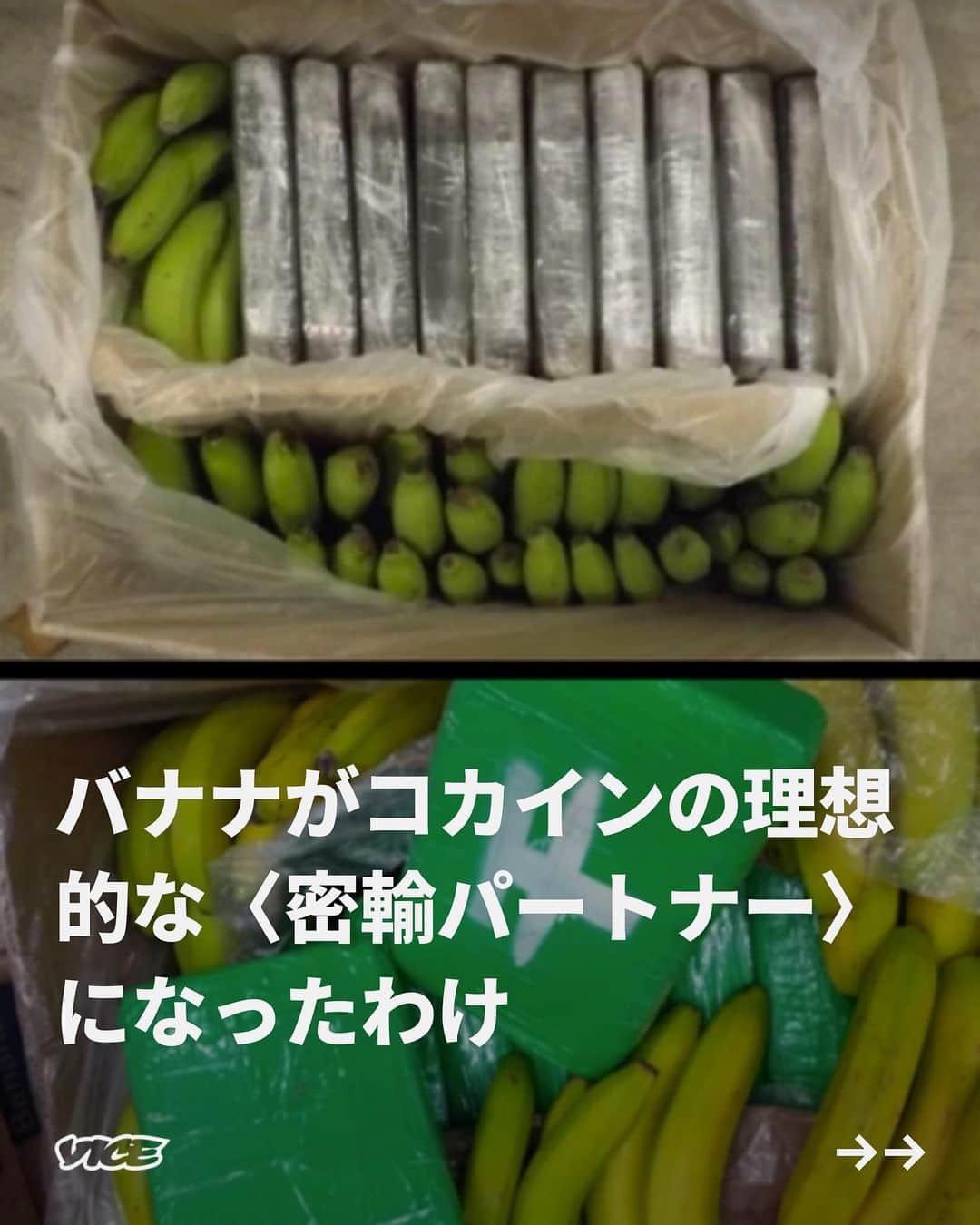 VICE Japanさんのインスタグラム写真 - (VICE JapanInstagram)「バナナの積み荷は、南米から英国やヨーロッパに大量の #コカイン を輸送する麻薬密輸業者に大人気の偽装アイテムとなっている。  2022年7月末、英国警察はイングランド南東部のエセックス港で、コロンビアの船内のバナナに0.5トンのコカインが隠されているのを発見した。  このような大量の密輸の背景には、ここ最近警察の手入れが増加し、大西洋を渡ってきたバナナの中からコカイン──コロンビアでは1キロ約3200ポンド（約52万円）で入手できるが、英国では3万ポンド（約487万年）で販売される──が相次いで発見されていることが挙げられる。  一体何が起きているのか？なぜコカインとバナナが一緒に発見される事件が多発しているのだろう。  記事詳細は @vicejapan プロフィールのリンクから  #vicejapan #vice #ヴァイスジャパン」6月14日 18時57分 - vicejapan