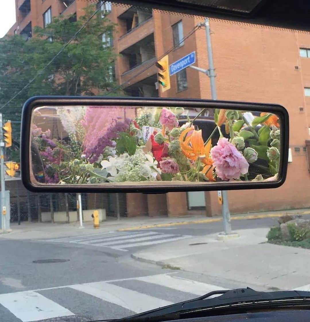 frankie magazineのインスタグラム：「tag a mate whose back seat looks like this ~ snapped by @j_aime」