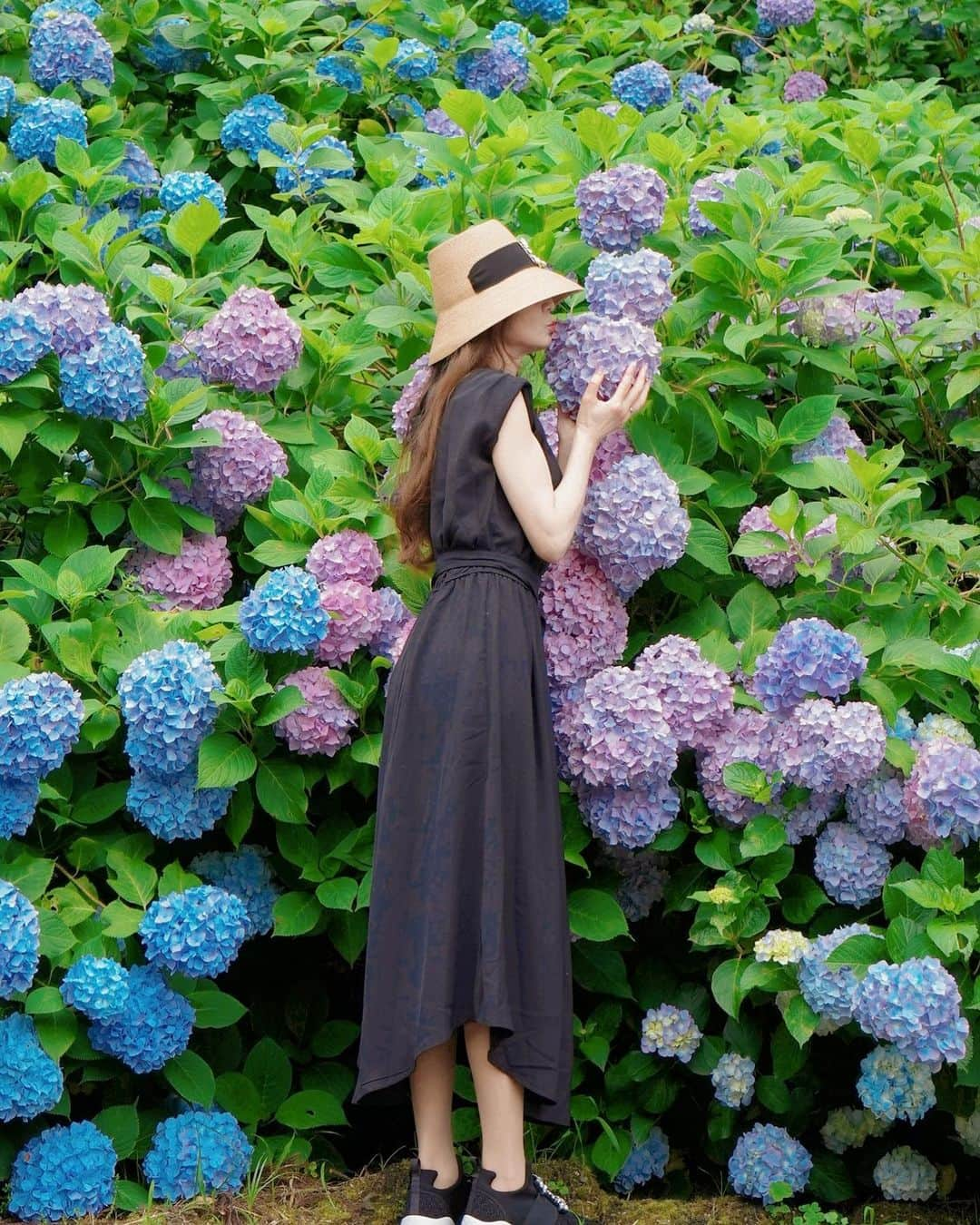 リンのインスタグラム：「紫陽花見に行って来たよ〜☺️  綺麗だったし、色とりどりで癒されました🩷💙💜  I went to see hydrangeas.  It was beautiful and colorful and healed me 🩷  我去看绣球花了💠  美丽多彩，治愈了我」