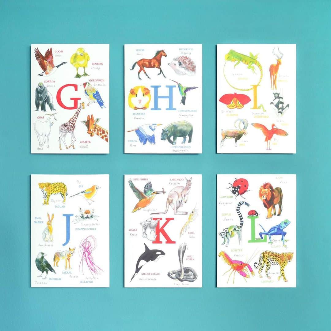 伊東屋さんのインスタグラム写真 - (伊東屋Instagram)「イギリスから来た、美しいアルファベットのカードをご紹介します。  今年の出張で新しく出会った、サラグレゴリーデザイン (SARAH GREGORY DESIGNS)。  それぞれのアルファベットを頭文字に持つ多種多様な動物たちが、鮮やかな水彩画で描かれています。  デザイナーのサラは、生き物の美しさや多様性を子どもと一緒に学べるものとして、このカードを作りました。   名前の頭文字はもちろん、お気に入りの動物が描かれたものを選んだり、複数枚を組み合わせてメッセージや名前を綴るのもおすすめ。   こちらは銀座 伊東屋 本店 G.Itoya 1F GROUND にてお取り扱い中です。  ご来店の際はぜひお手に取ってご覧ください。  SARAH GREGORY DESIGNS @sarah_gregory_designs   ※在庫数に限りがあるため、売り切れとなる可能性がございます。恐れ入りますがご容赦ください。  #カード#グリーティングカード#ミニカード#お手紙#手紙#レター#cards#greetingcards#carddesign#アルファベットカード#動物カード##stationery#銀座伊東屋#伊東屋#ginzaitoya#itoya#文房具#文具#文房具好き#文具好き#文具沼#文房具沼#educationalartwork#alphabetcards#動物柄#animalcards」6月14日 19時19分 - itoya_official