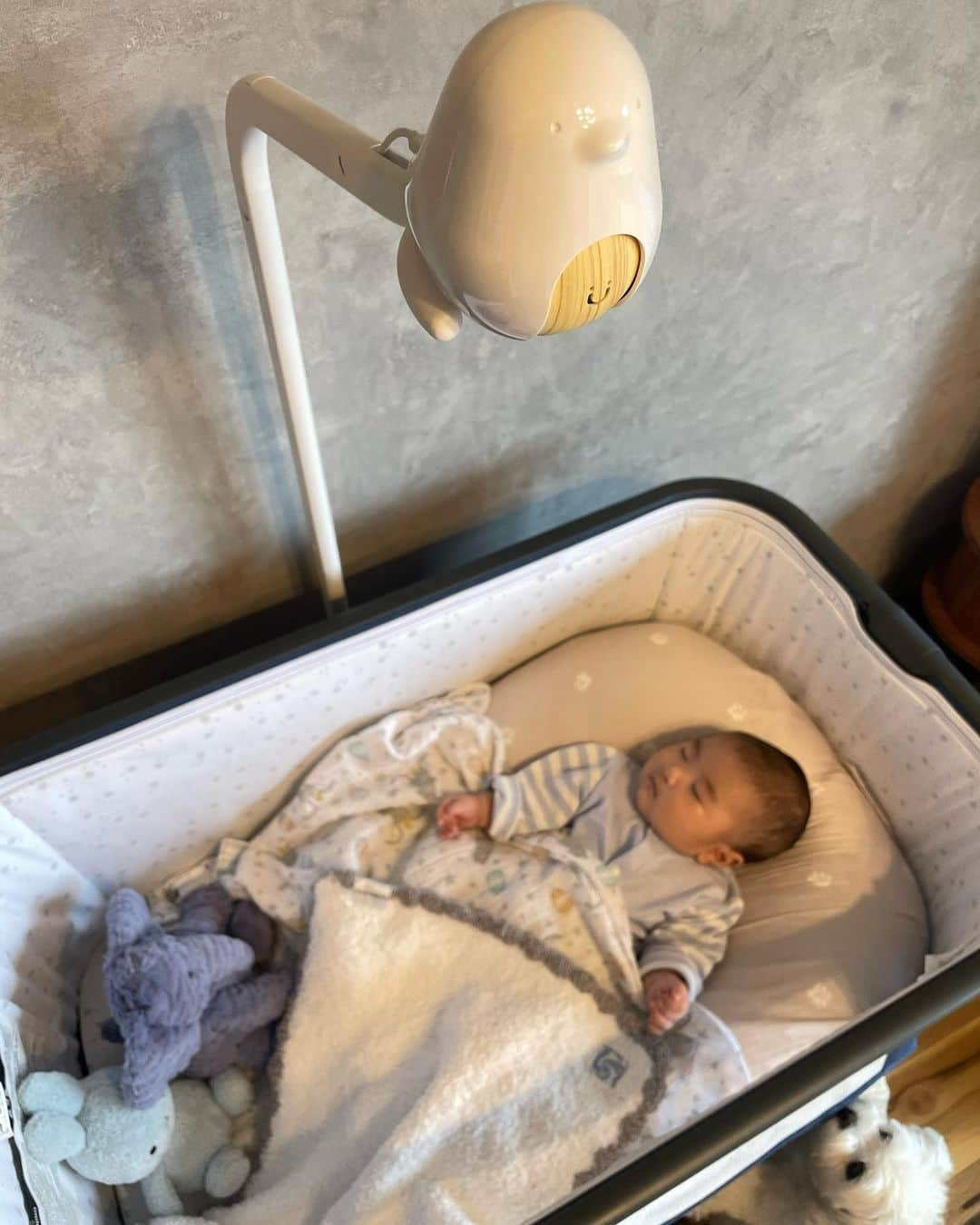 カナさんのインスタグラム写真 - (カナInstagram)「👶🏻PR・クーポンコードあり🪽  人生で初めての赤ちゃんとの生活が始まって  泣いてないかな？ 顔にお布団かかってないかな？ 吐き戻してないかな？ 息してるかな？  いつ何時も、つきっきりで見ていられないと 心配や不安でいっぱいになっちゃって🤯 産後、毎日気が気じゃありませんでした😭  そんな気持ちを和らげて支えてくれたのが CuboAi です🐣  スマホで瞬時に赤ちゃんの状態を知ることができて 赤ちゃんの危険を感知したら通知してくれるのが 主体の機能のベビーモニターだよ👀  スマホ8台まで繋げられるので 旦那さんも仕事先から見てくれてるみたい☀️ 双方向通話機能で、赤ちゃんに声掛けしたり🧑🏻 離れているときも、すぐに会えたような気持ちになれて、とても嬉しそう😆  わたしも睡眠時間や自分時間を増やすことができるようになって 心にも余裕ができたり優しくなれたりして みんなHAPPYになったよ🫶🏻  危険感知アラートはもちろん、 室温や湿度が高すぎる・低すぎるときに教えてくれたり 睡眠時間を分析してくれたり🌙  録画機能付きで 見てないときのとっておきの 写真や動画を記録してくれるのも可愛くて最高だよ！🥹  モニターは高性能、高画質で 明るいときはもちろん、真っ暗な状態でも 表情がわかるくらい映像が綺麗✨  色んな機能を通して 赤ちゃんのことをより知ることができたし 赤ちゃんの愛おしさを感じる機会をより増やしてくれました！ 最高にスマートなベビーシッターだね🤭🌈  心を楽に、幸せな気持ちにしてくれる、 本当におすすめしたいベビーグッズだよ🥰 (気になる方は @cuboai_japan  を見てみてくださいね）  クーポンコード:KANA2023 (フォロワー様専用の1500円 割引クーポンコード、公式サイトにてのみ有効) URL  https://bit.ly/423t4uj とってもお得なのでぜひ使ってね🌷 プレゼントにも喜ばれると思います🎁  子育てをする パパ、ママの心配や不安が少しでも減り、 心が楽に、明るく、なりますように。  上手く肩の力を抜いて、笑顔で子育てを楽しんでいこうね❤️  #cuboaiスマートベビーモニター #cuboai赤ちゃんねんね見守りセット #cuboaiベビーセンサーパッド #cuboaiのある生活 #cuboai #男の子ママ #新生児 #新米ママ」6月14日 19時42分 - _kana627_