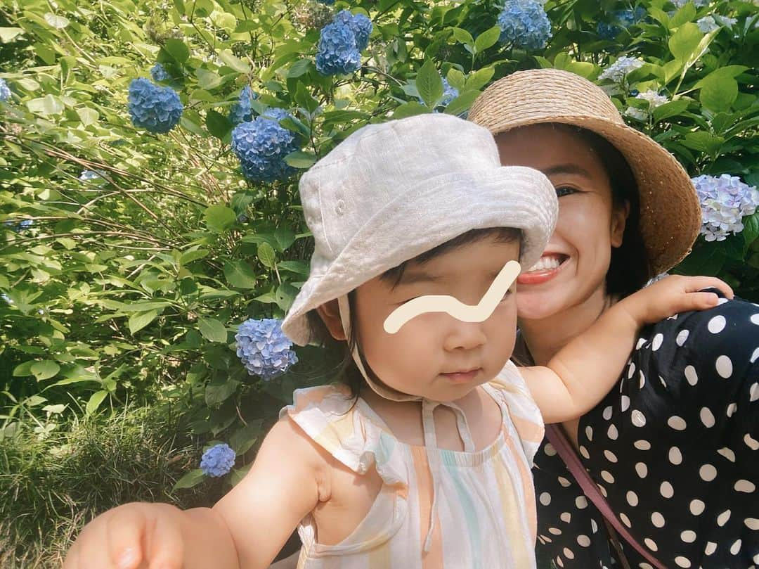 井村亜里香のインスタグラム：「天気が良い日は早朝からお寺や神社巡り⛩ 朝の空気は澄み切っていて 鳥さんの声も心地よい🕊🌳 雨上がりの紫陽花もきれいで癒されております♡  #japan#kamakura #kamakurajapan  #鎌倉#鎌倉散歩#紫陽花#移住  #母と娘#神社巡り#パワースポット」