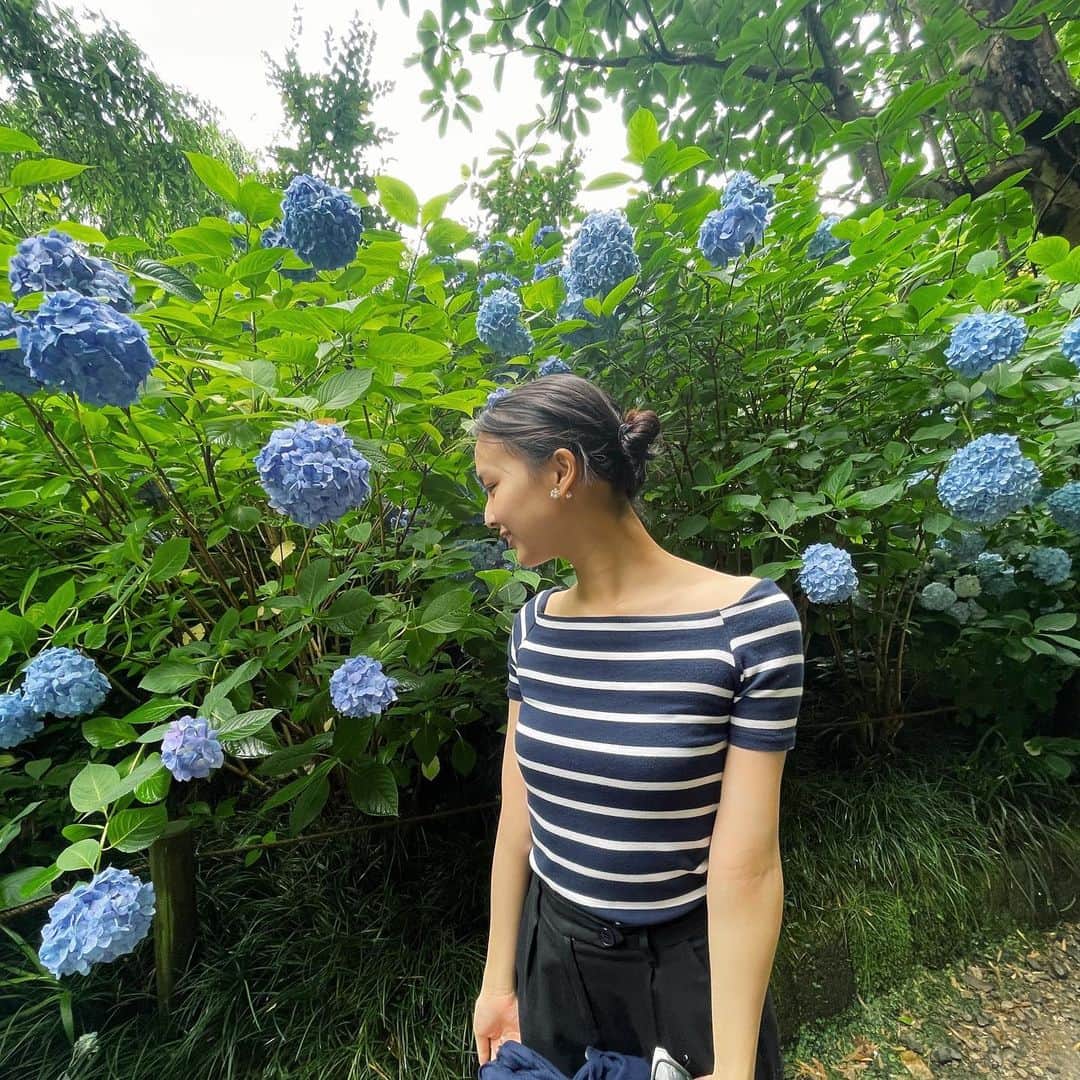 白河れいさんのインスタグラム写真 - (白河れいInstagram)「Hydrangea season is here in Japan🪻🌿 紫陽花の花言葉は、"辛抱強さ"だそうです。優しそうに見えて強い、そんな人になりたいなと思いました☺︎  #hydrangea #紫陽花 #花言葉」6月14日 20時00分 - rayshirakawa