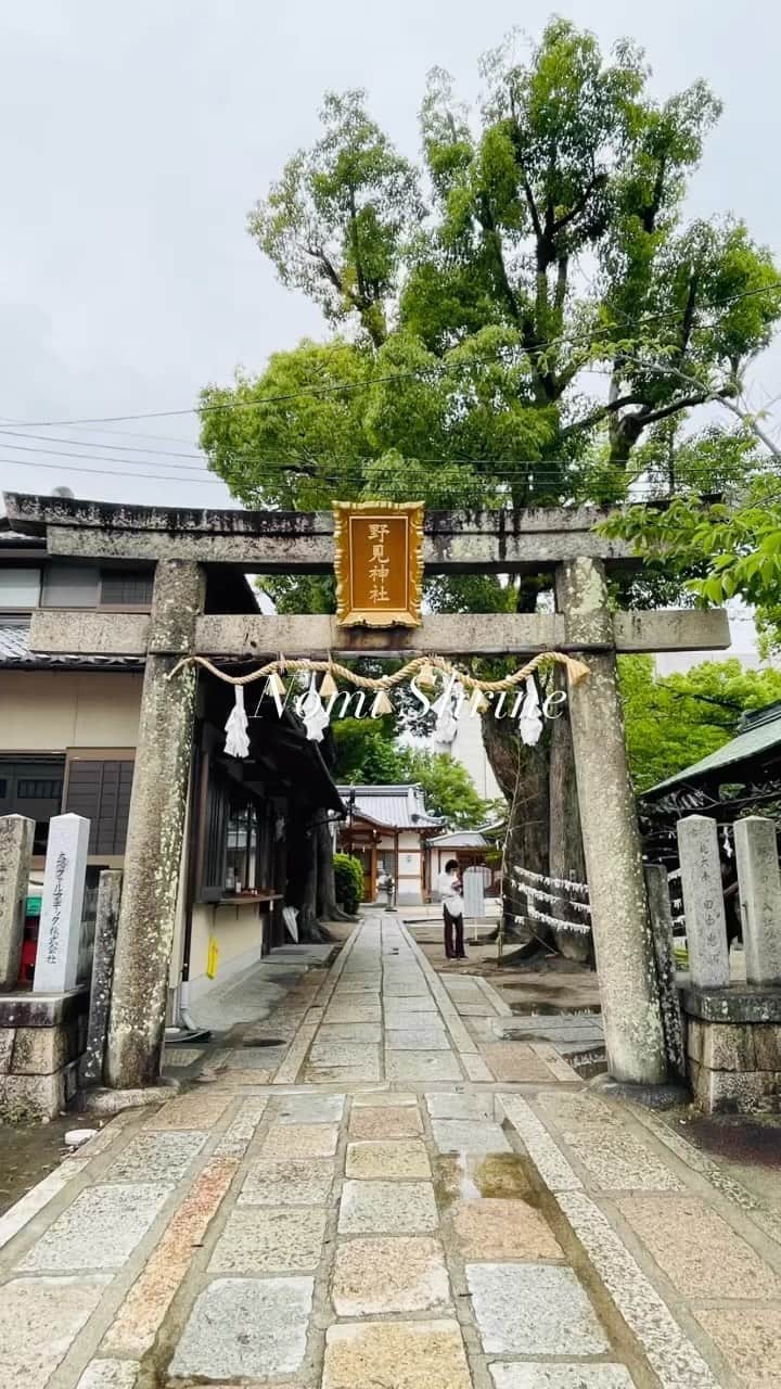 小嶋晶子のインスタグラム：「野見神社へ⛩️ ジューンブライドをイメージした花手水が素敵。 そのままブーケにしても良い感じ💐 Nomi shrine is located in the Kitaote area (currently named Nomi area, which was previously situated inside Takatsuki Castle. #野見神社  #野見神社の花手水  #高槻市 #大阪 # #日本 #nomishrine #takastukishi #osaka  #japan #⛩️ #🇯🇵」