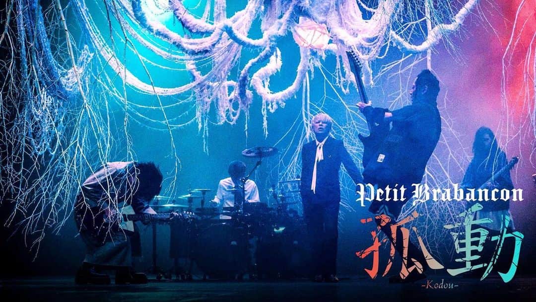 ミヤ のインスタグラム：「#PetitBrabancon「Automata」　   🎊本日発売🎊 ￣￣￣￣￣￣￣￣￣￣￣￣￣￣ さらに本日19時    ミュージックビデオ「孤動」 　プレミア公開が決定🐶🎥 ￣￣￣￣￣￣￣￣￣￣￣￣￣￣ 🔻チャンネル＆リマインダー登録お忘れなく https://youtu.be/7L45fubsv5w」