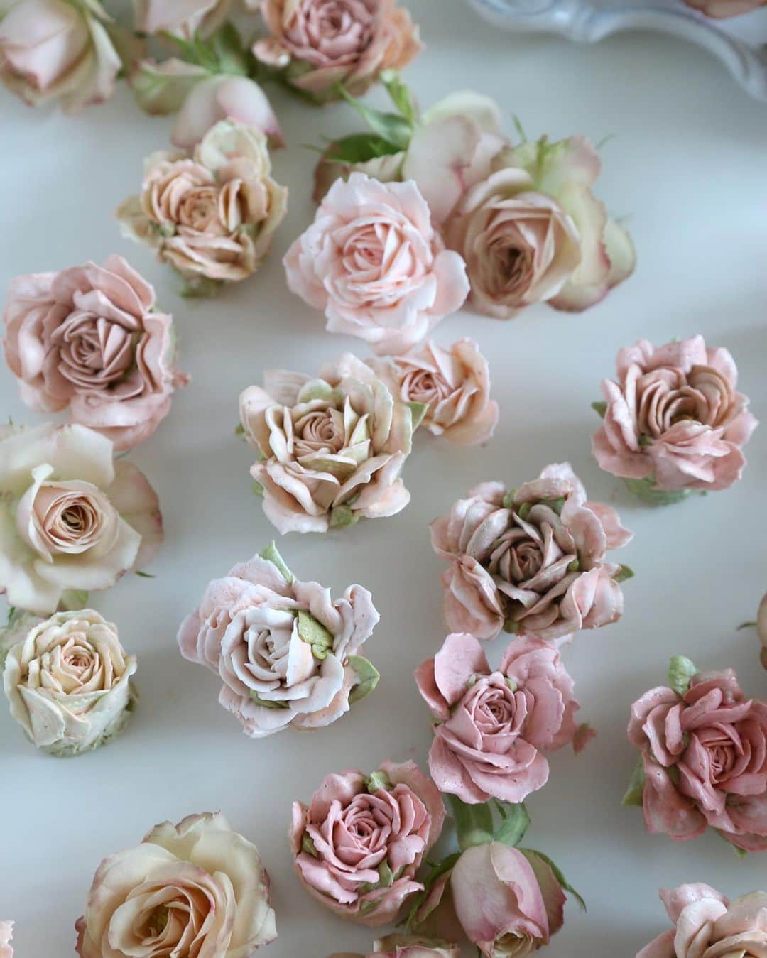 청담 수케이크 (atelier soo)さんのインスタグラム写真 - (청담 수케이크 (atelier soo)Instagram)「ㅡ Rose 🥀  Burgundy. Brown  Italian meringue buttercream  #flowercake #cake #rose #partycake」6月14日 13時04分 - soocake_ully
