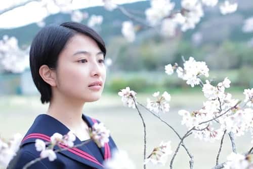 石崎なつみさんのインスタグラム写真 - (石崎なつみInstagram)「mocoさんの優しい画 時を経て、また桜の木の下で。 嬉しかったな 載せてない写真がまだまだたくさんあります🌸  1枚目 photo : moco @mocophoto55  hair&make : Atsuko Shimizu stylist : Chika Sugimoto  @chikasugimo__  model : Natsumi Ishizaki  2枚目は、春なれやの時 約7年前。 photo by moco  #photo #make #fashion #photoshoot  #publicityphoto  #宣材写真 #女優 #石崎なつみ」6月14日 13時34分 - ntmii7