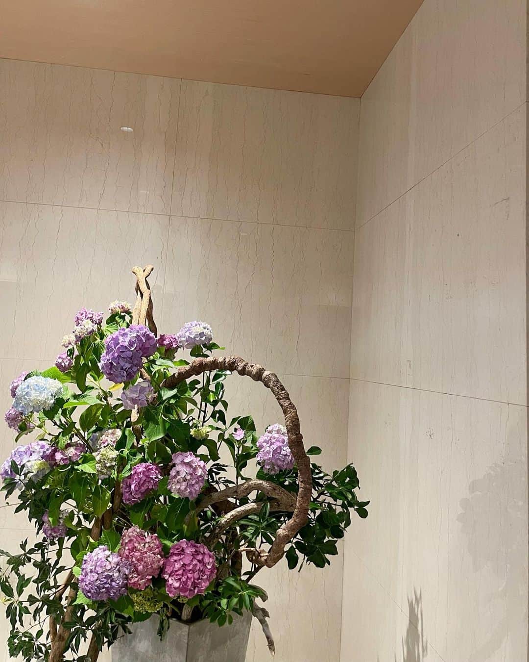 藤田かんなのインスタグラム：「🫧  6月といえば紫陽花🪻  生の切花だとすぐしおれちゃうので 紫陽花のドライフラワーも購入しました😌💕  #紫陽花  #花のある暮らし」