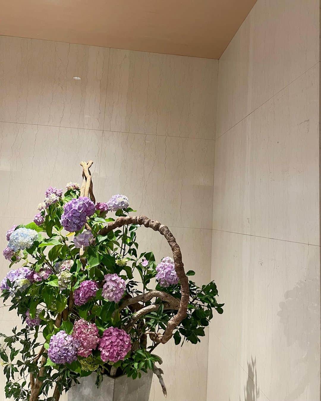 のインスタグラム：「🫧  6月といえば紫陽花🪻  生の切花だとすぐしおれちゃうので 紫陽花のドライフラワーも購入しました😌💕  #紫陽花  #花のある暮らし」