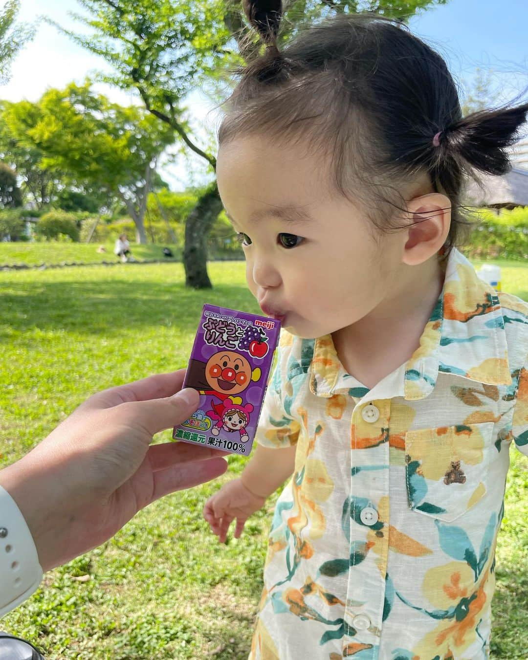 持永真実さんのインスタグラム写真 - (持永真実Instagram)「🌳🧚‍♀️🌿」6月14日 14時08分 - mami_mochinaga