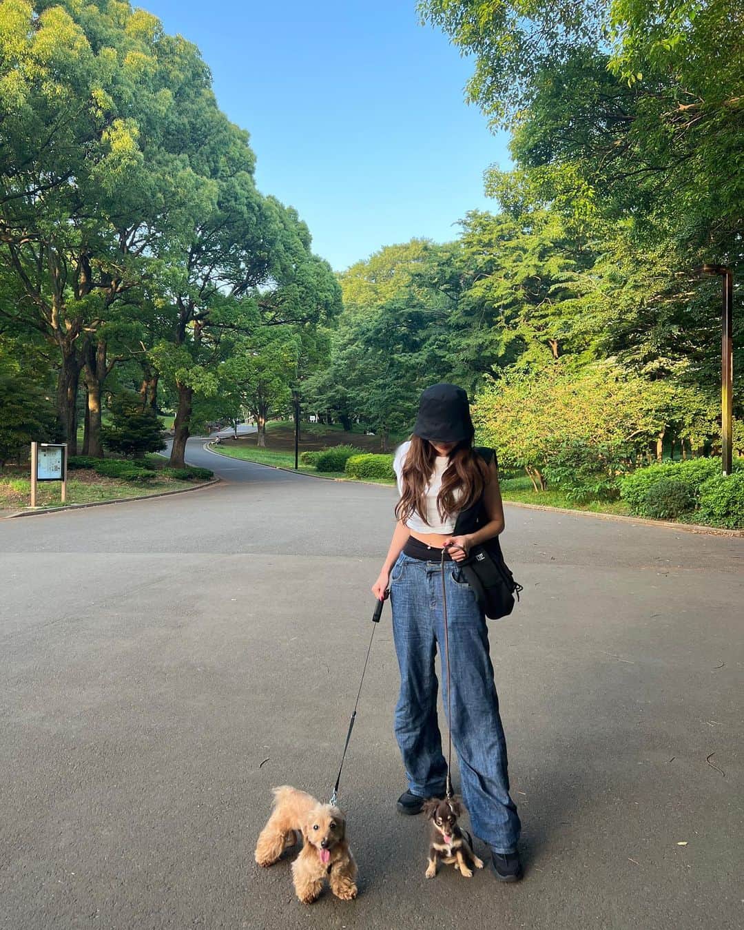 CHIHAのインスタグラム：「はじめてお散歩した日❤️ 代々木公園🐾  楽しそうなたっぷり笑顔幸せ😆  #テディとモカ #愛犬 #ダップー #チワックス　#代々木公園」
