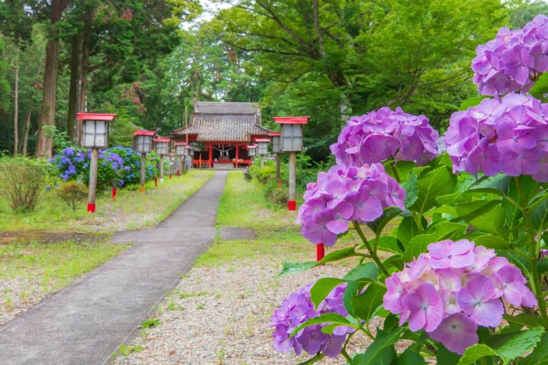 鹿児島よかもん再発見のインスタグラム