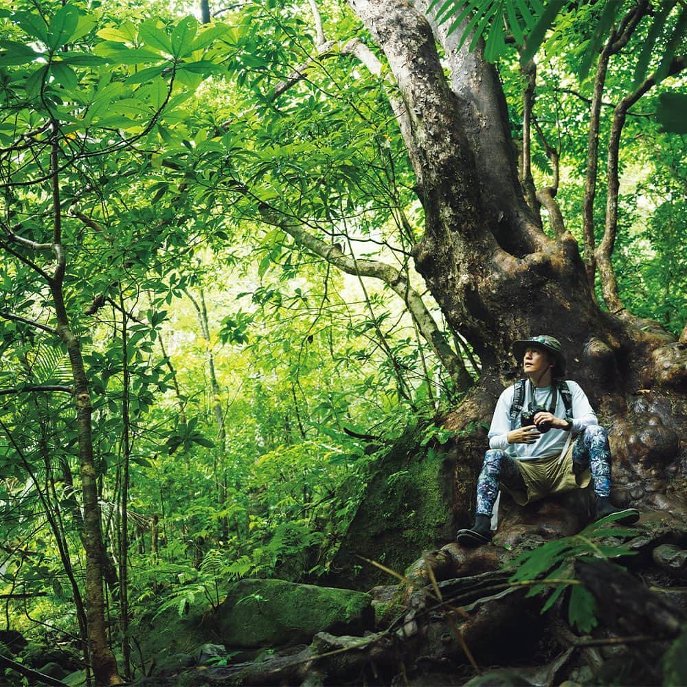 ブルータスさんのインスタグラム写真 - (ブルータスInstagram)「日本最後の野生の森へ。五感が研ぎ澄まされる、ジャングルトレッキング。  BRUTUS最新号「山を、歩こう。」では、俳優の井浦新さんが沖縄県・西表島へ。  亜熱帯気候の稀有な景観と、多様な生態系を育むことから“東洋のガラパゴス”とも称されるこの地で、大自然を堪能しながら井浦さんが歩く。  #BRUTUS #ブルータス #雑誌 #山 #山歩 #山歩き #hike #hiking #ジャングル #トレッキング #西表島」6月14日 21時00分 - brutusmag