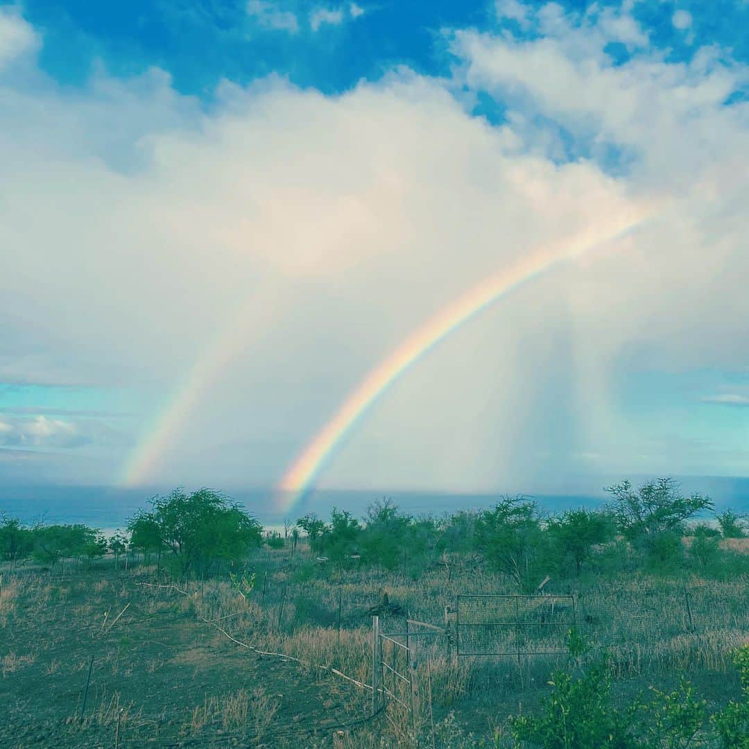 山崎美弥子さんのインスタグラム写真 - (山崎美弥子Instagram)「Day of Rainbow  虹の日。」6月14日 16時06分 - miyakoyamazaki