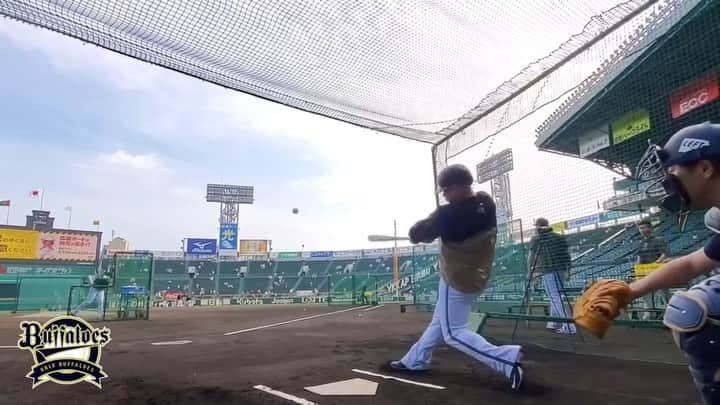 オリックス・バファローズのインスタグラム