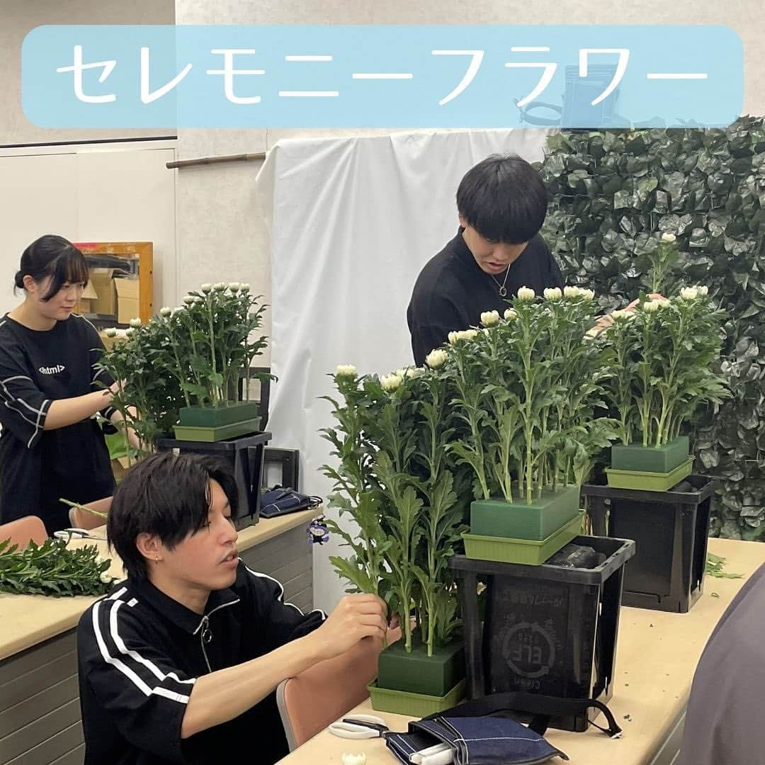 東京観光専門学校さんのインスタグラム写真 - (東京観光専門学校Instagram)「葬祭ディレクター学科 【セレモニーフラワー】  祭壇に供える代表的なお花【菊】 格調高く、栽培しやすく長持ちするため墓前や祭壇に備えるのに適しているお花です📝👀  高さや、茎の長さなど様々なことを意識しながら綺麗に生けることができました🪷  #葬祭ディレクター学科 #東京観光専門学校 #TOKAN #専門学校 #セレモニーフラワー #授業中」6月14日 17時08分 - tokan_1967