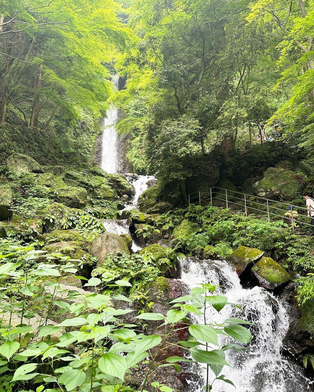 竹内佐織のインスタグラム